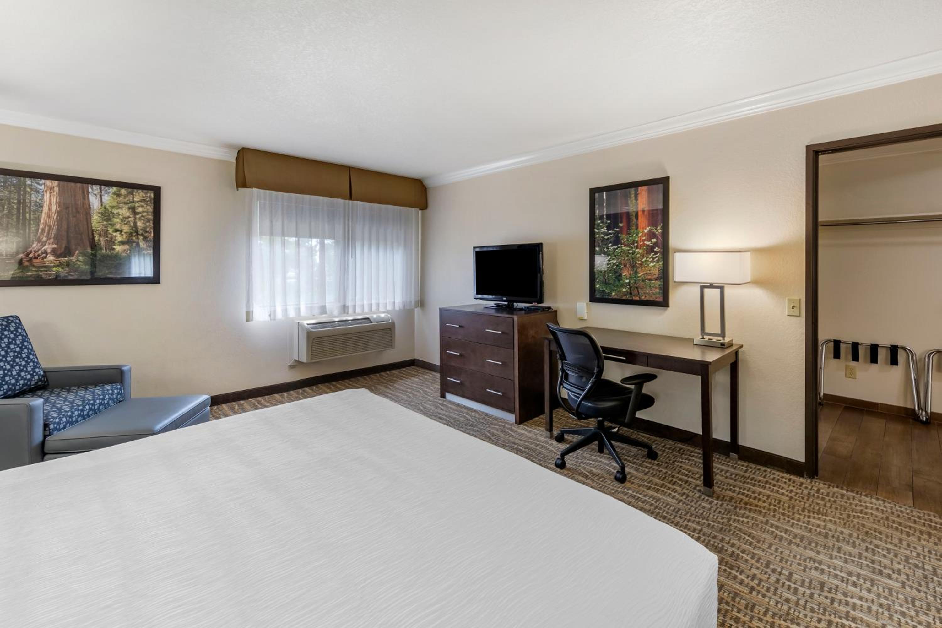 Accessible Suite photo 2
