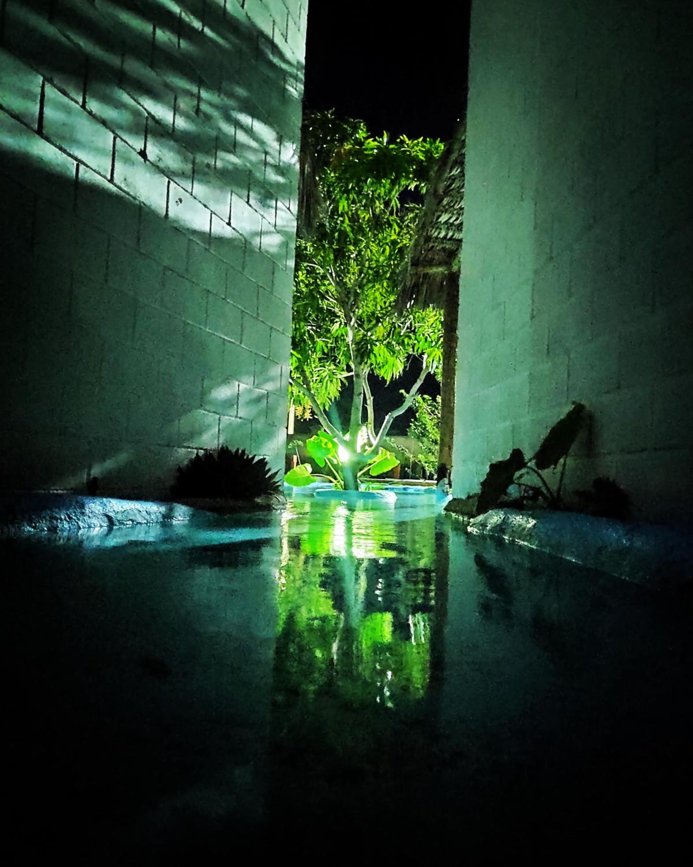 Queen Room with Pool View photo 3