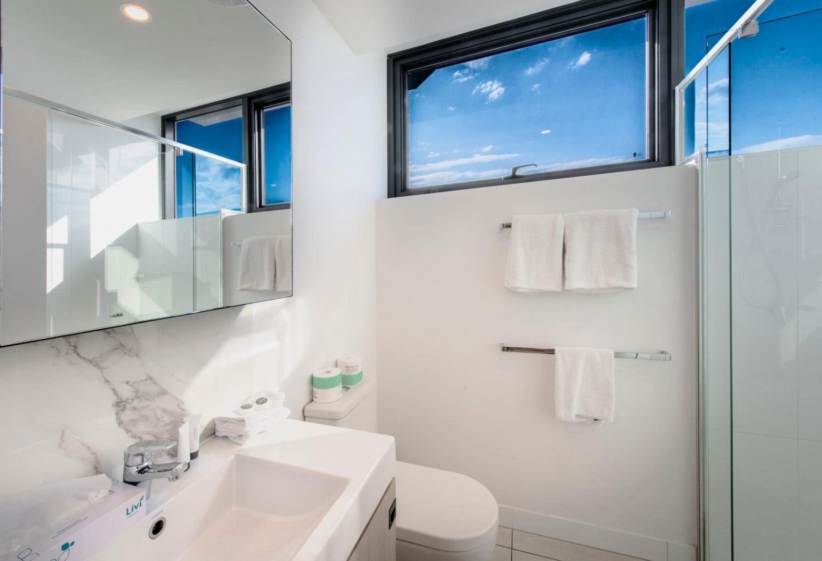Two Bedroom One Bathroom Mountain View Apartment