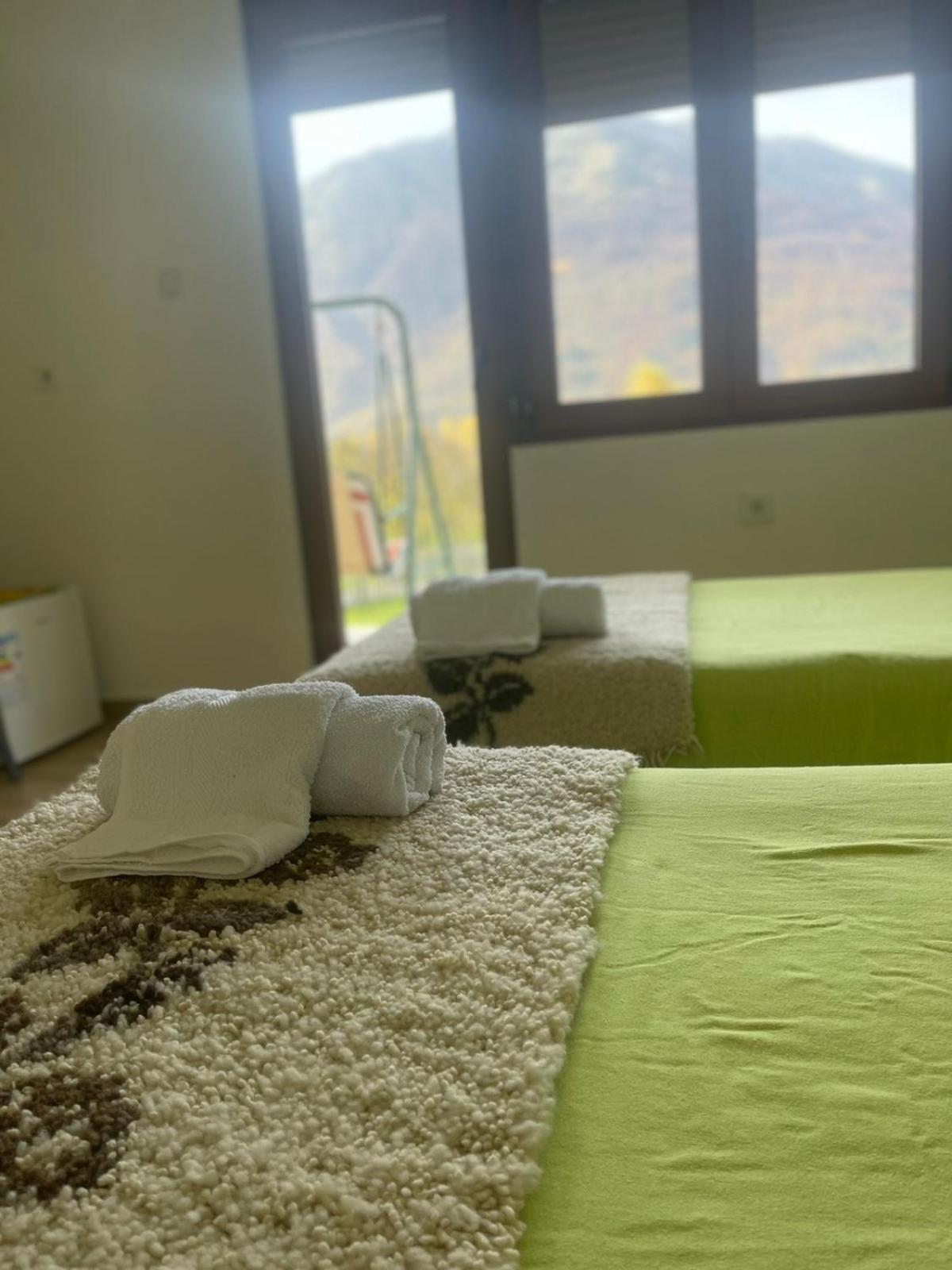 Double or Twin Room with Terrace