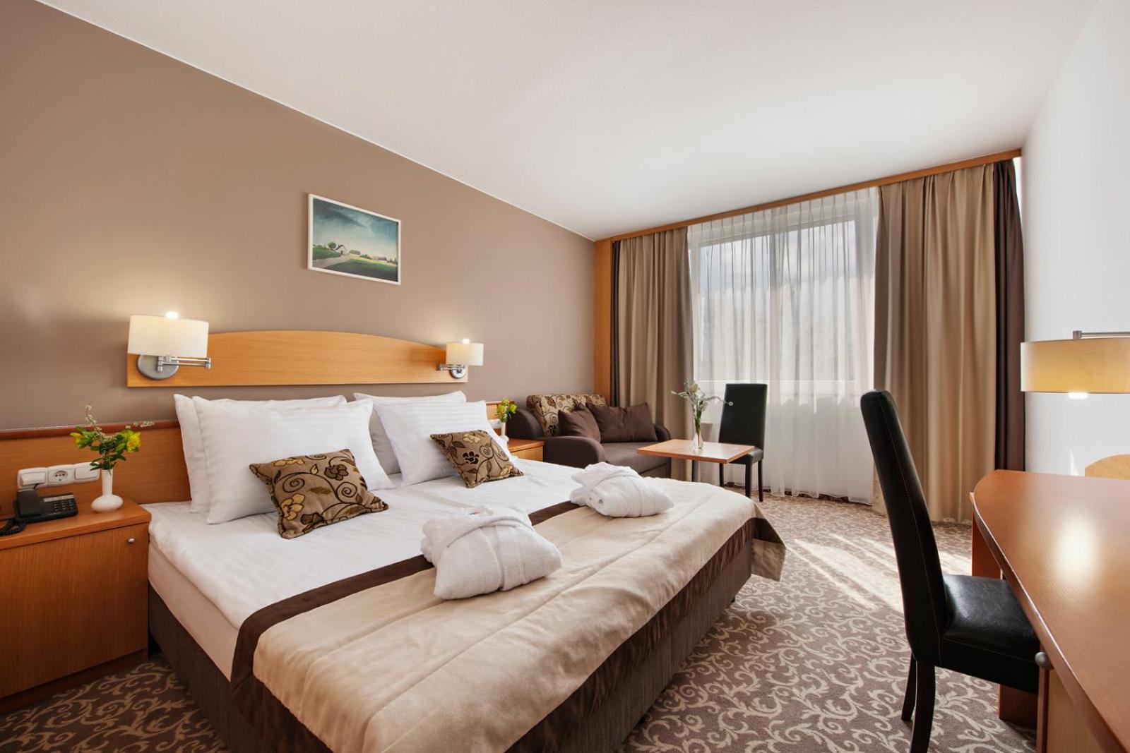 Special Offer - Standard Double Room with New Year's Package