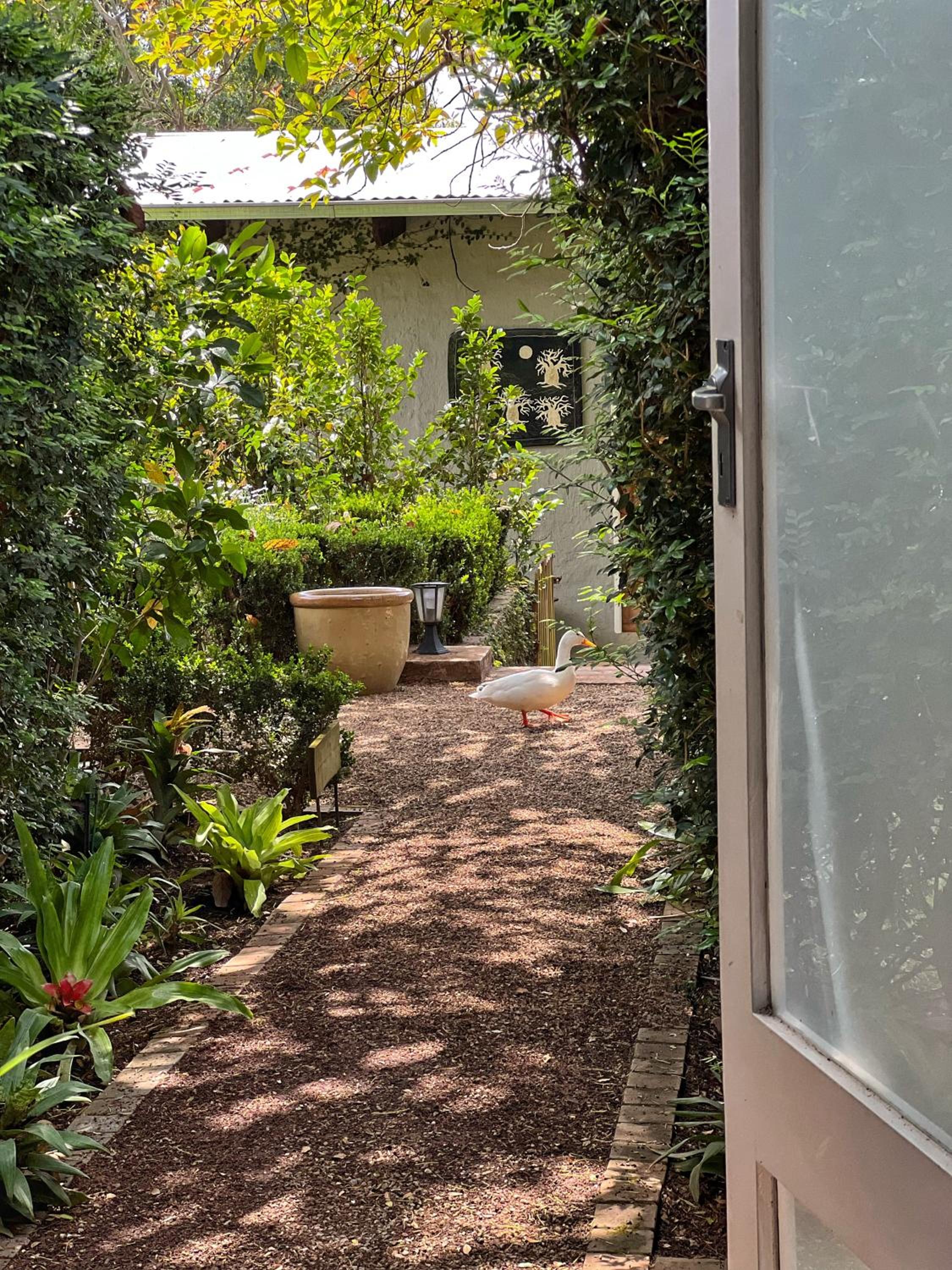 Deluxe Double or Twin Room with Garden View photo 2