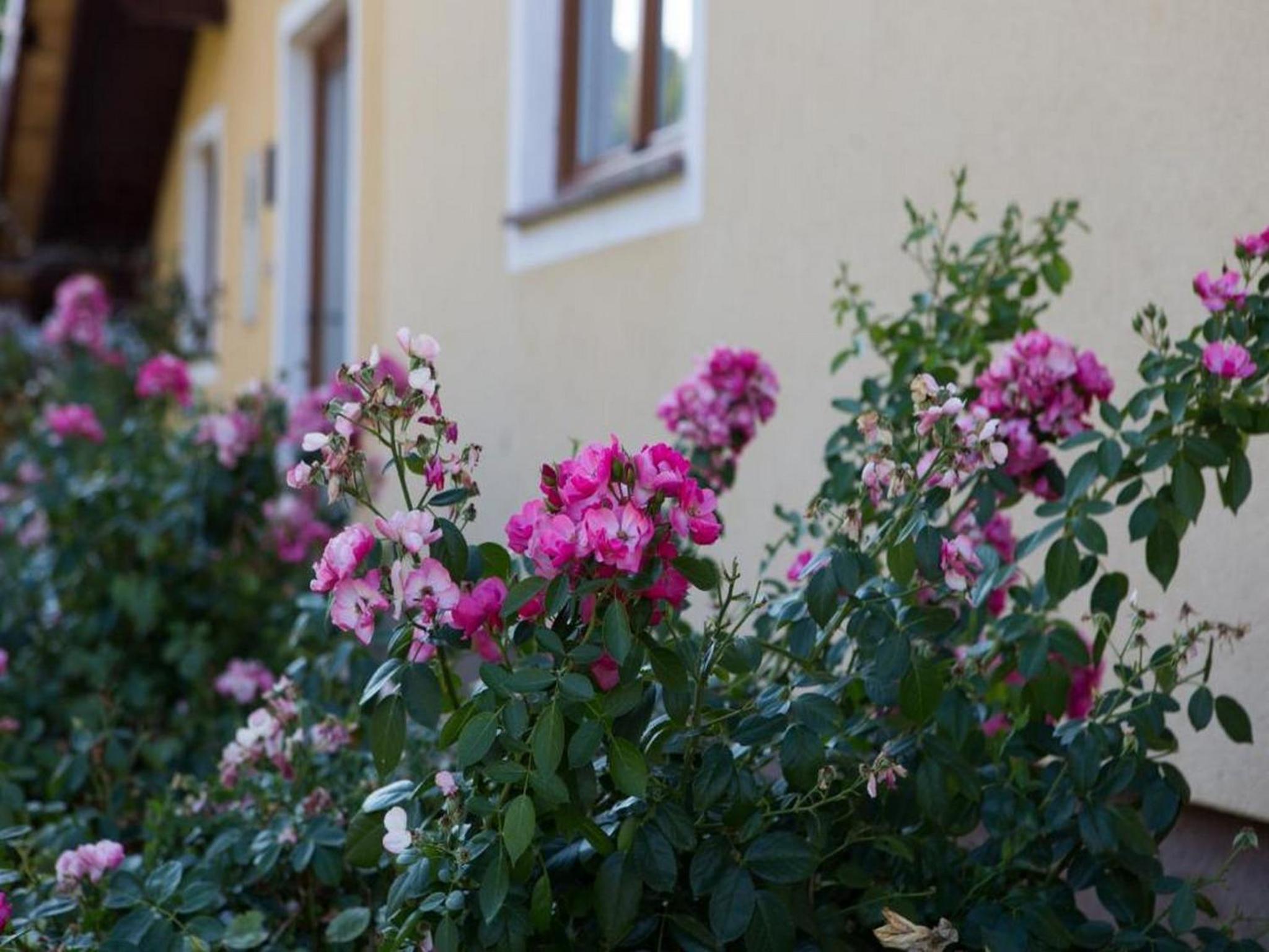 Two Bedroom Apartment with Terrace - Photo 13