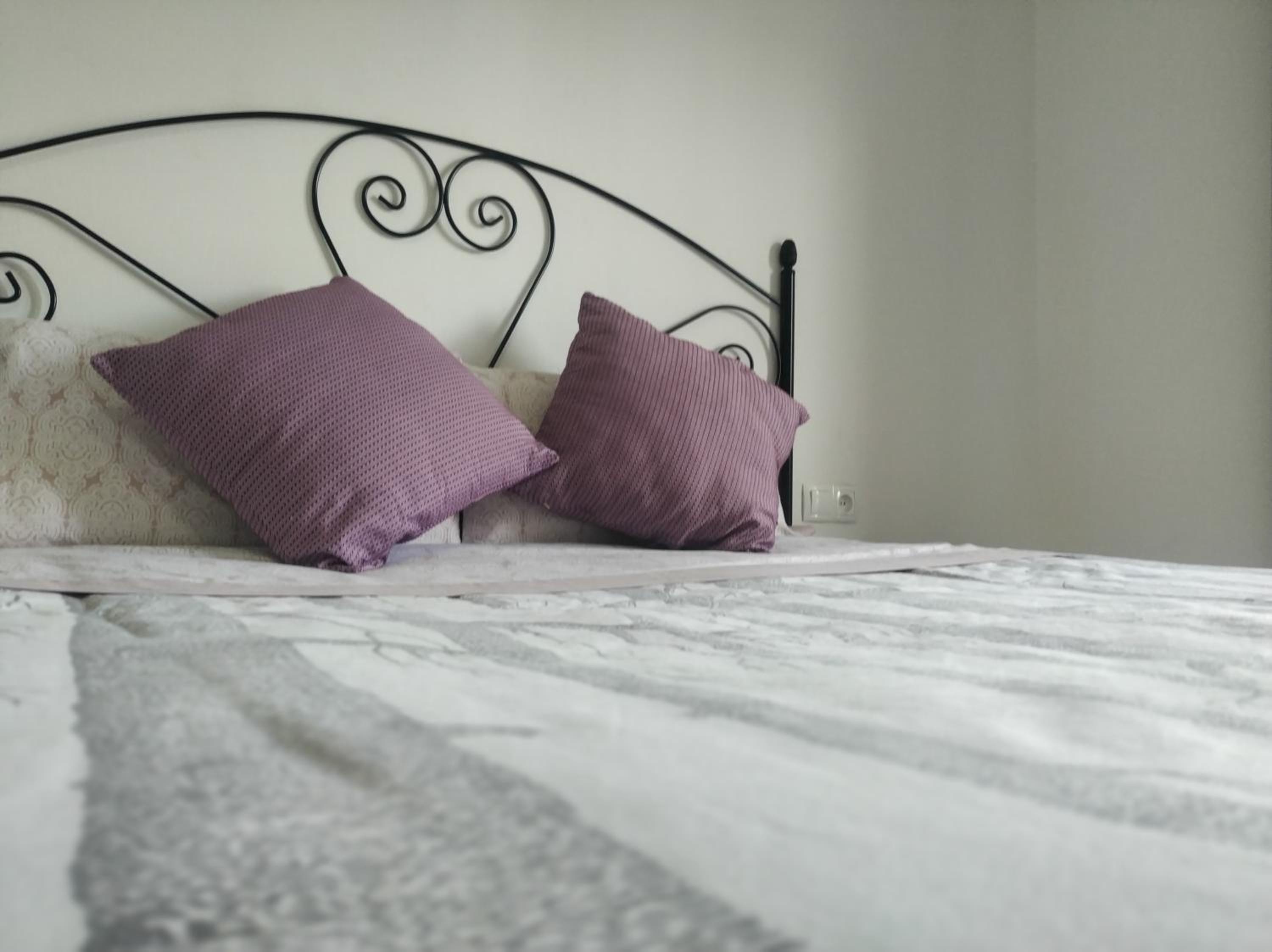 Apartment with Terrace photo 2