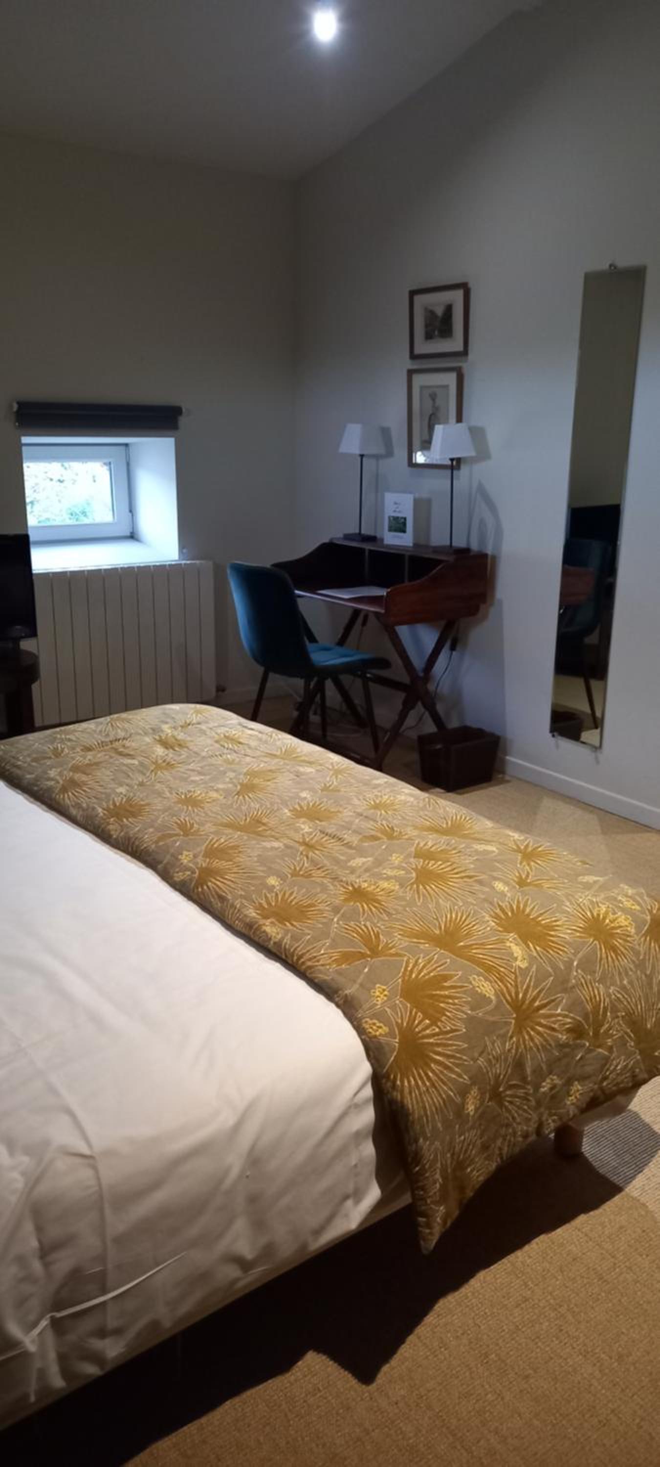 Superior Double Room photo 3