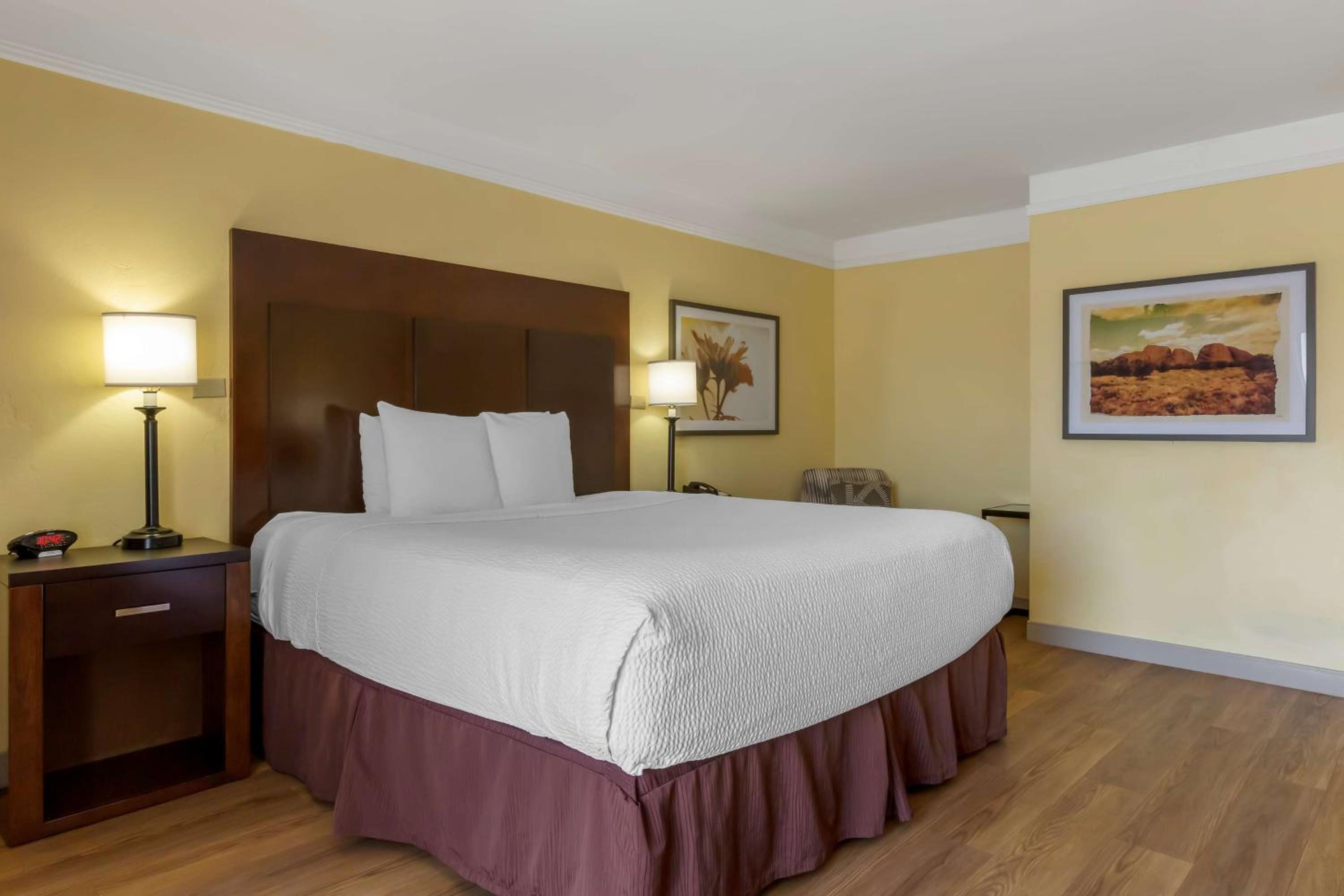 King Room - Photo 1
