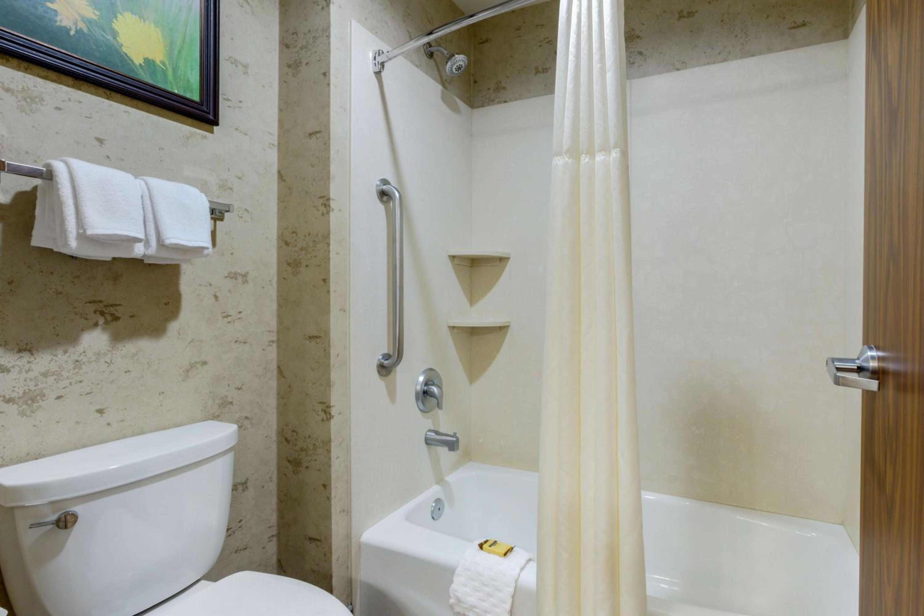 King Suite with Sofa Bed - Non Smoking - Photo 3