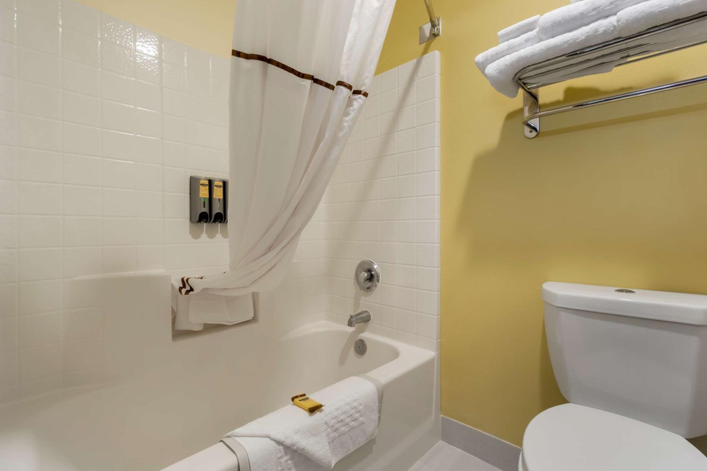 Deluxe King Room - Pet-Friendly photo 3