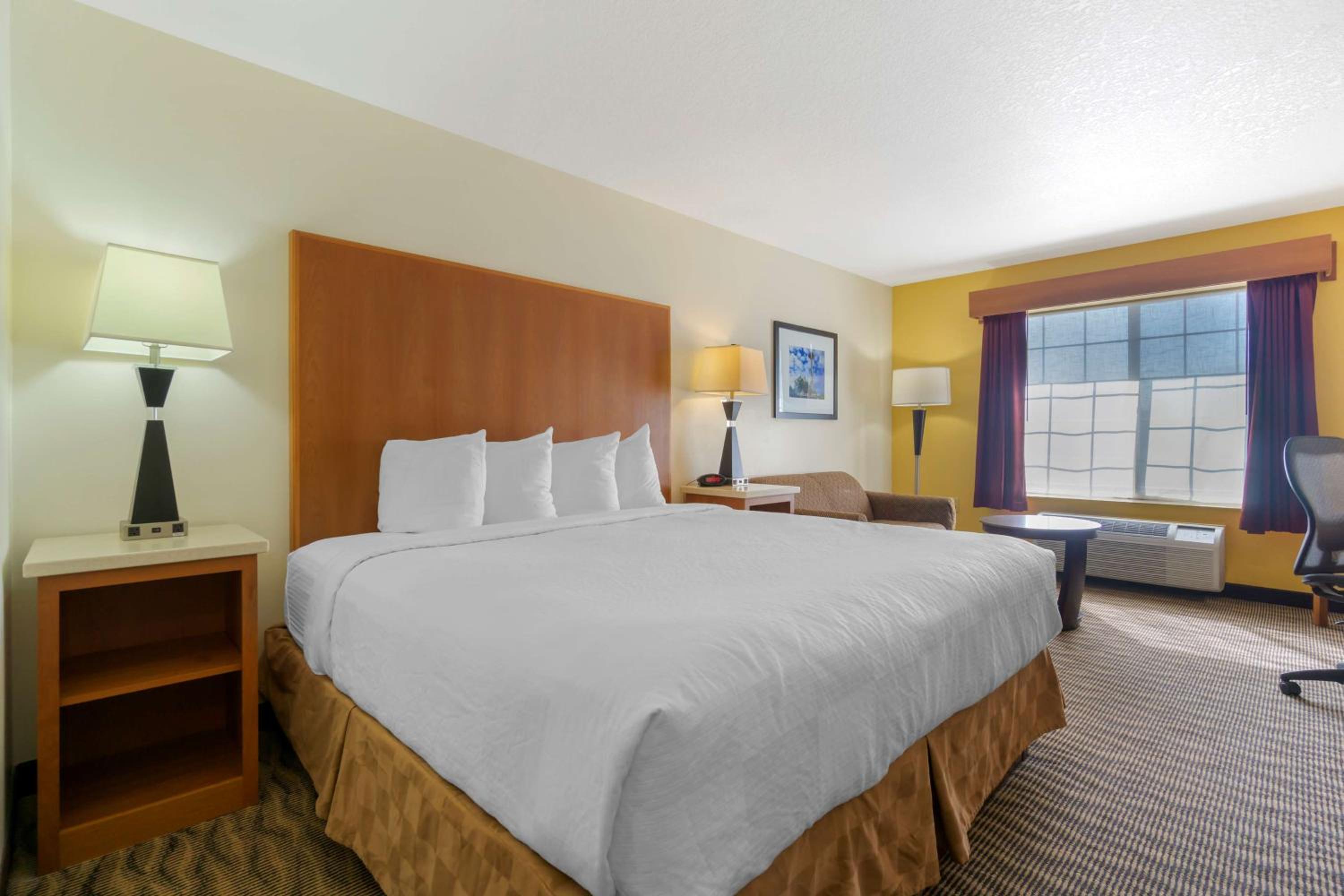 Deluxe King Room - Pet-Friendly photo 1