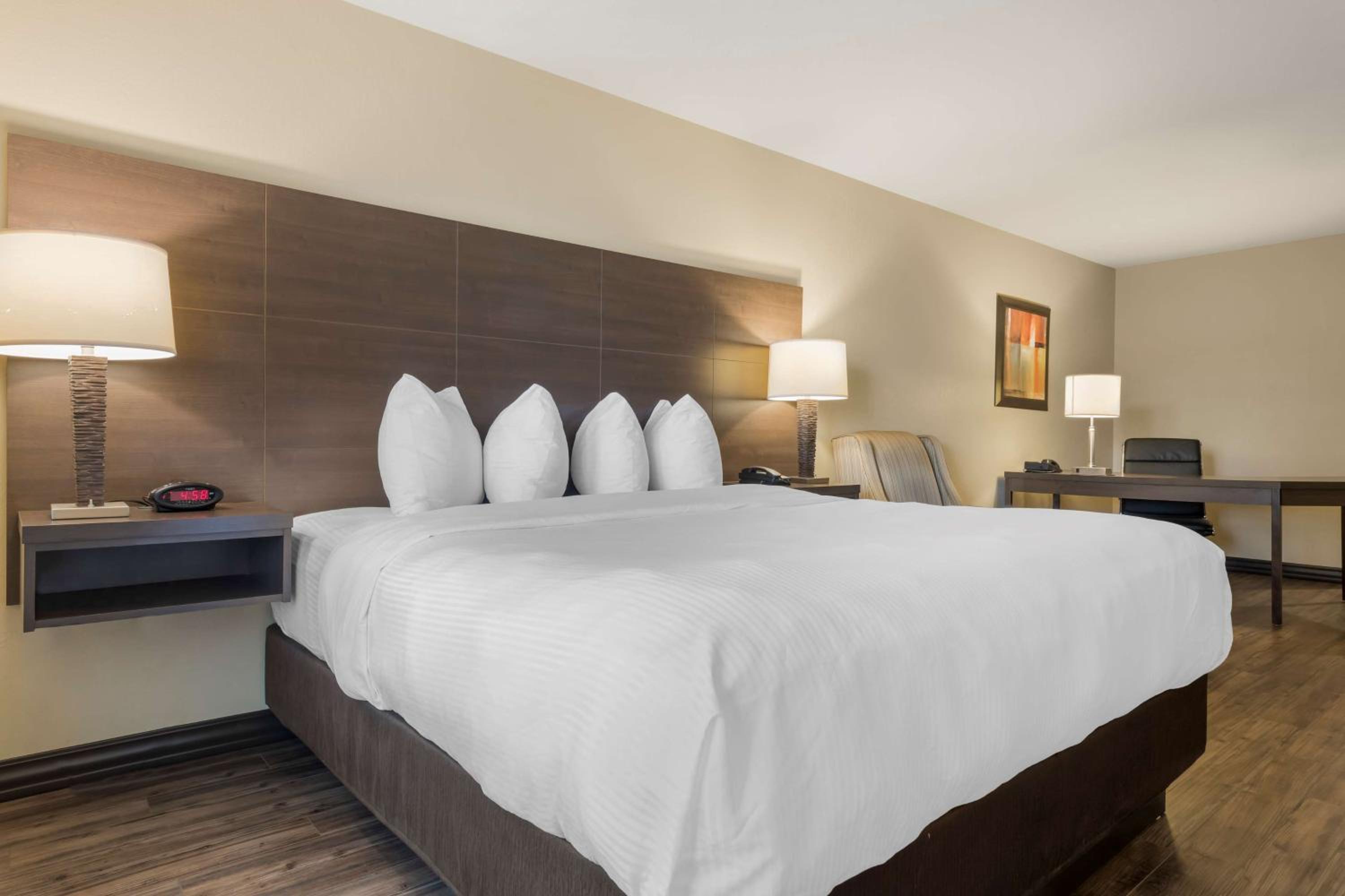 King Suite with Sofa Bed - Non-Smoking - Photo 4