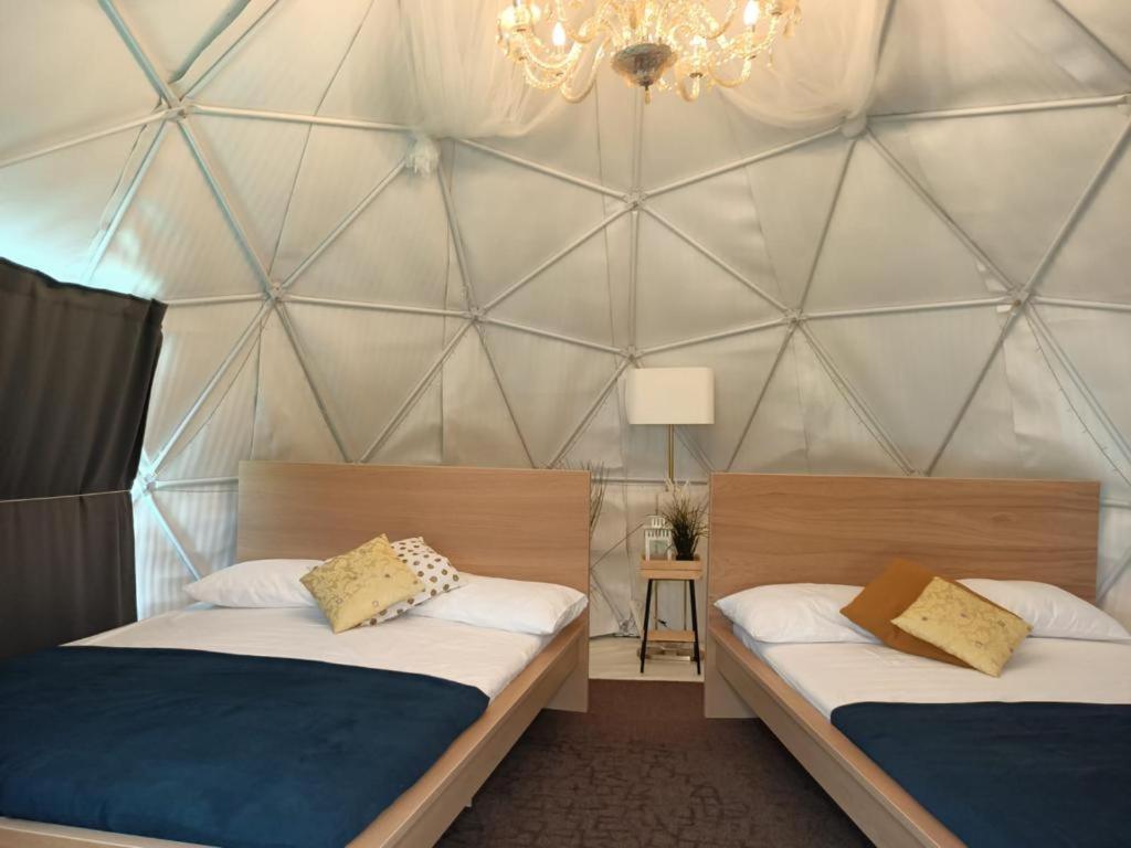 Dome Tent photo 2