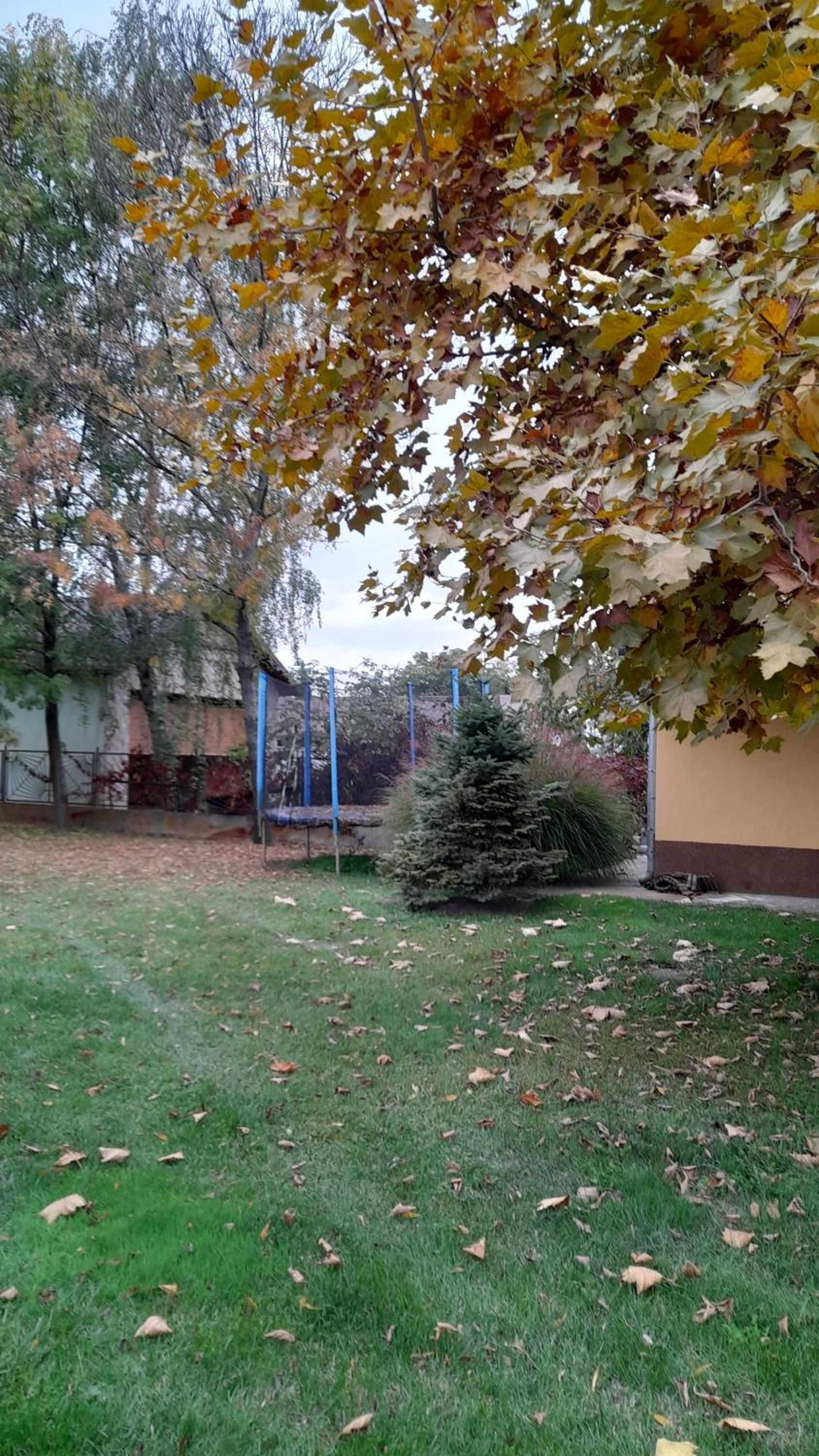 Apartment with Garden View - Photo 25