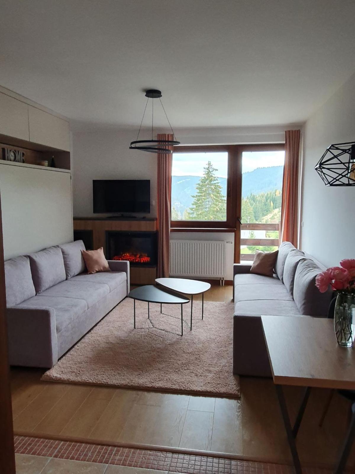 Apartment with Mountain View photo 1