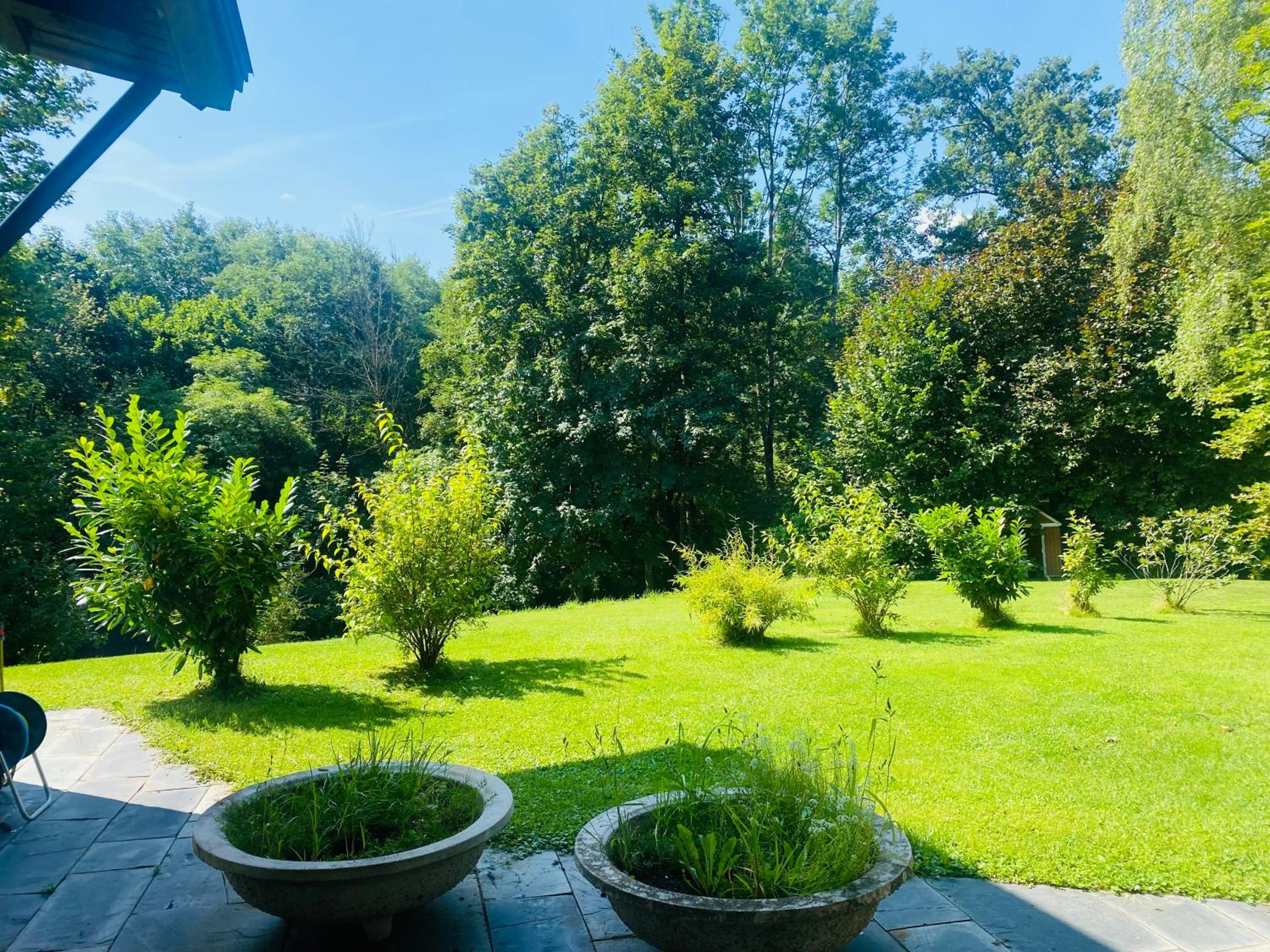 Apartment with Terrace photo 2