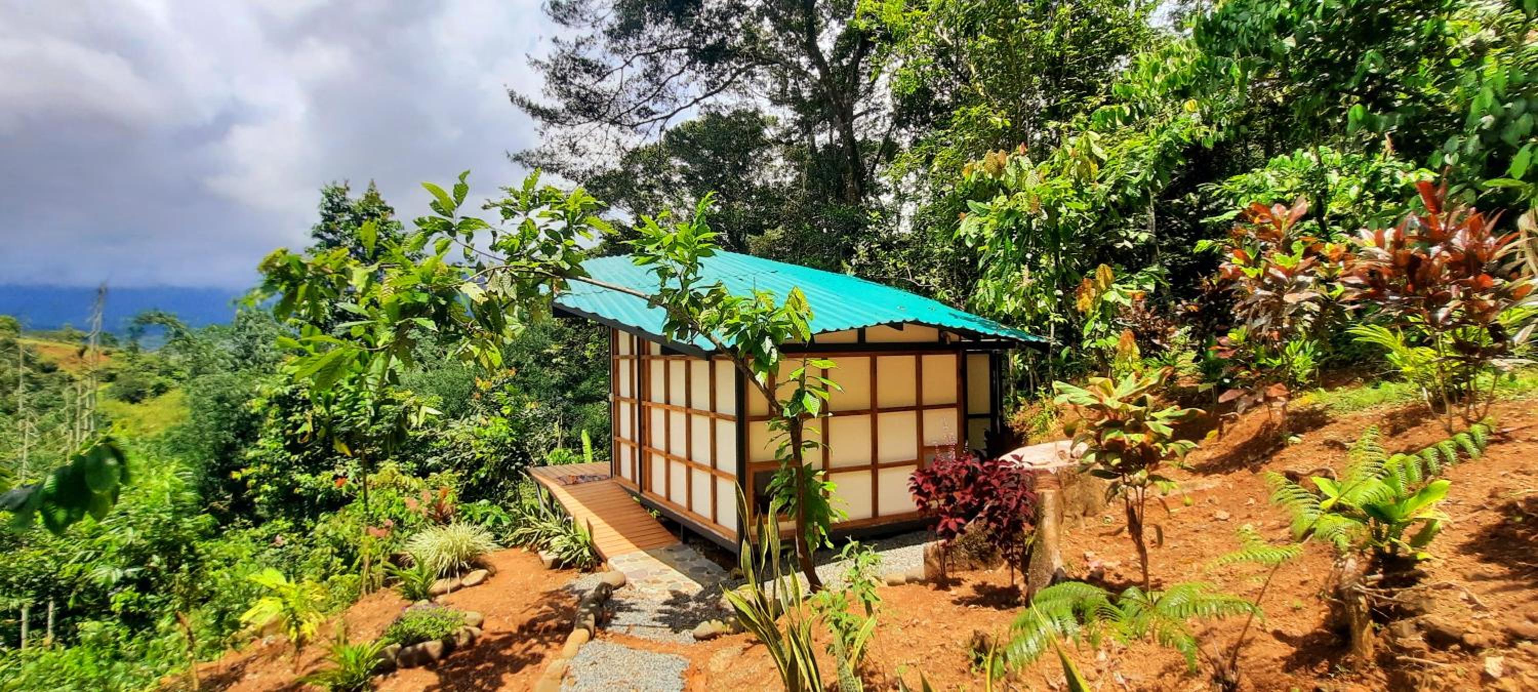Superior Double or Twin Room with Garden View photo 2