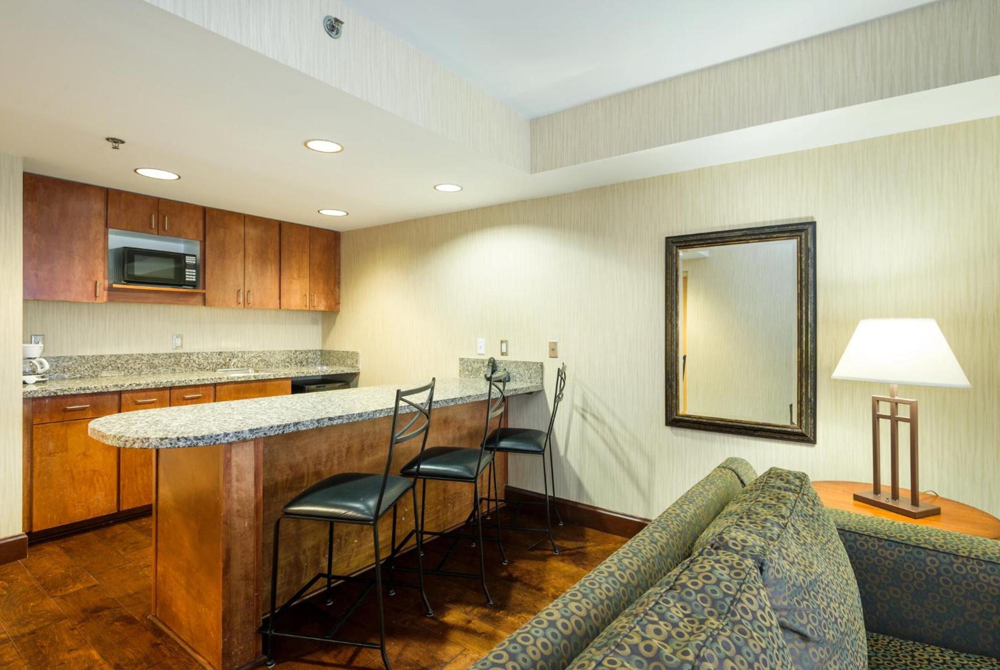 One-Bedroom Suite - Photo 3
