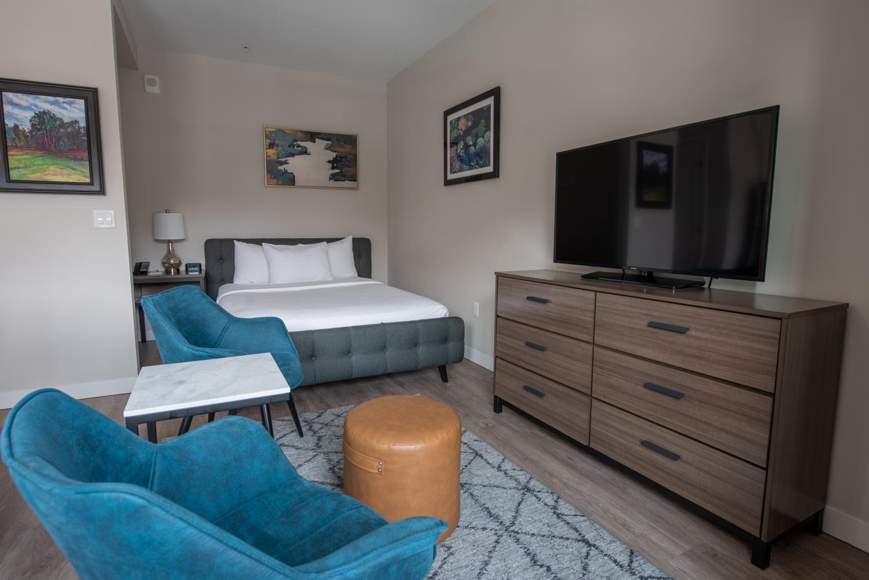 Studio Suite - Photo 1