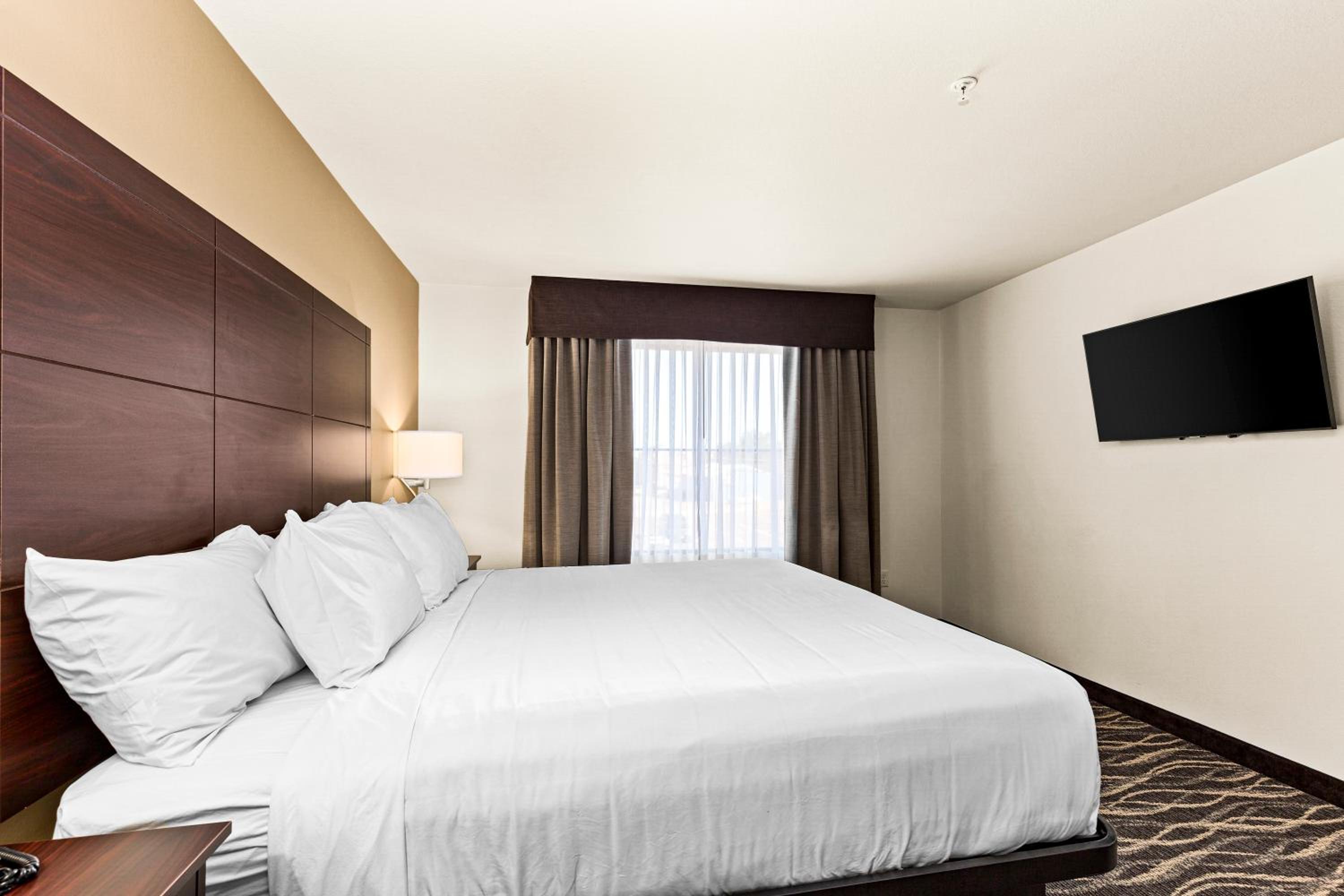 Suite - Photo 2
