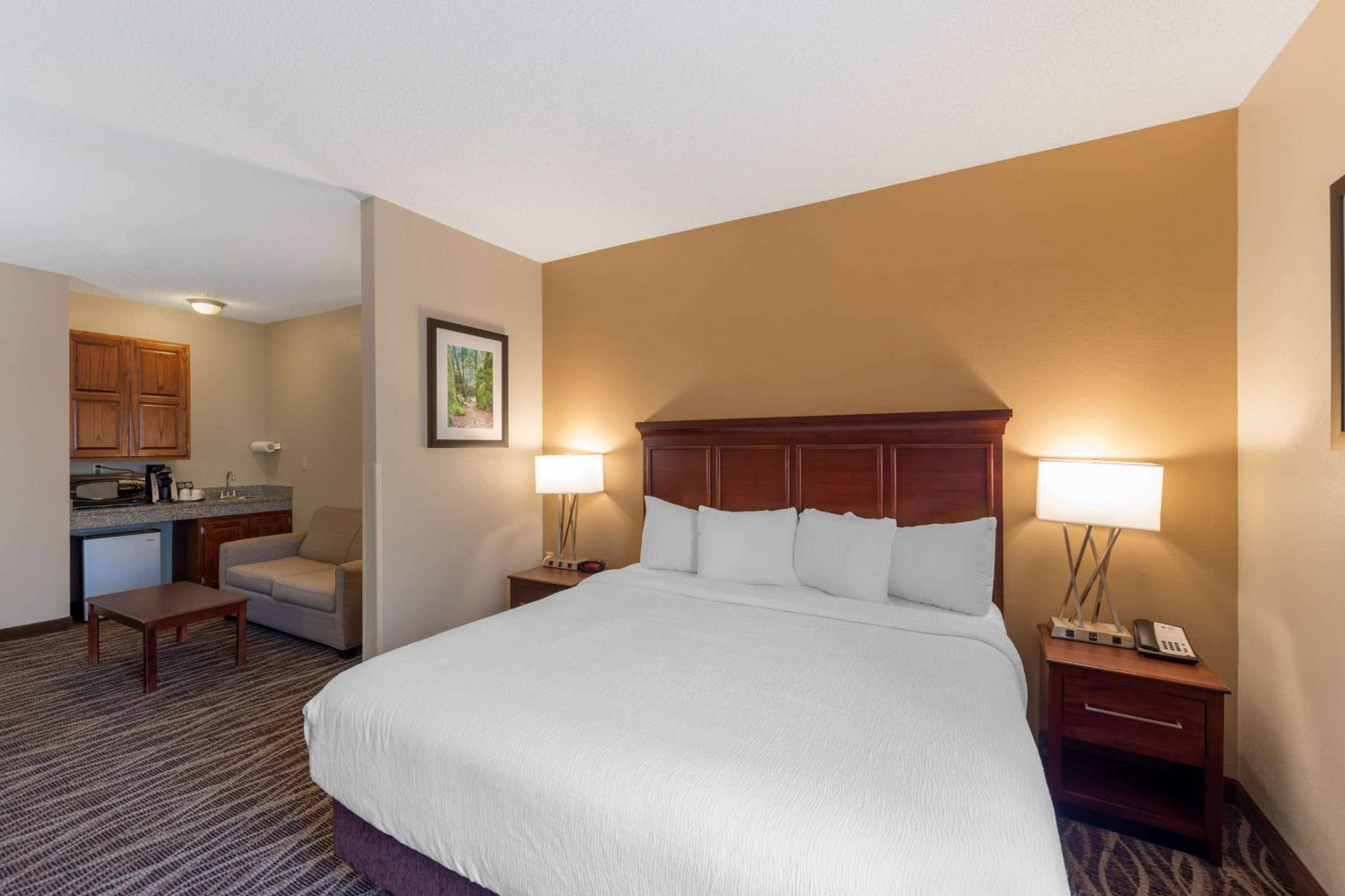 King Suite with Sofa Bed and Walk-In Shower - Non-Smoking photo 2