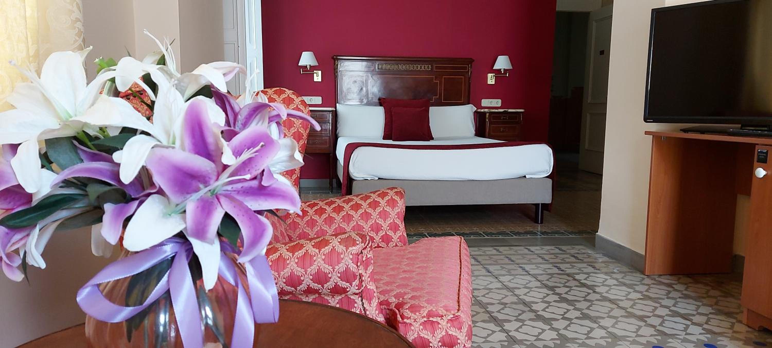 Suite con Terraza
