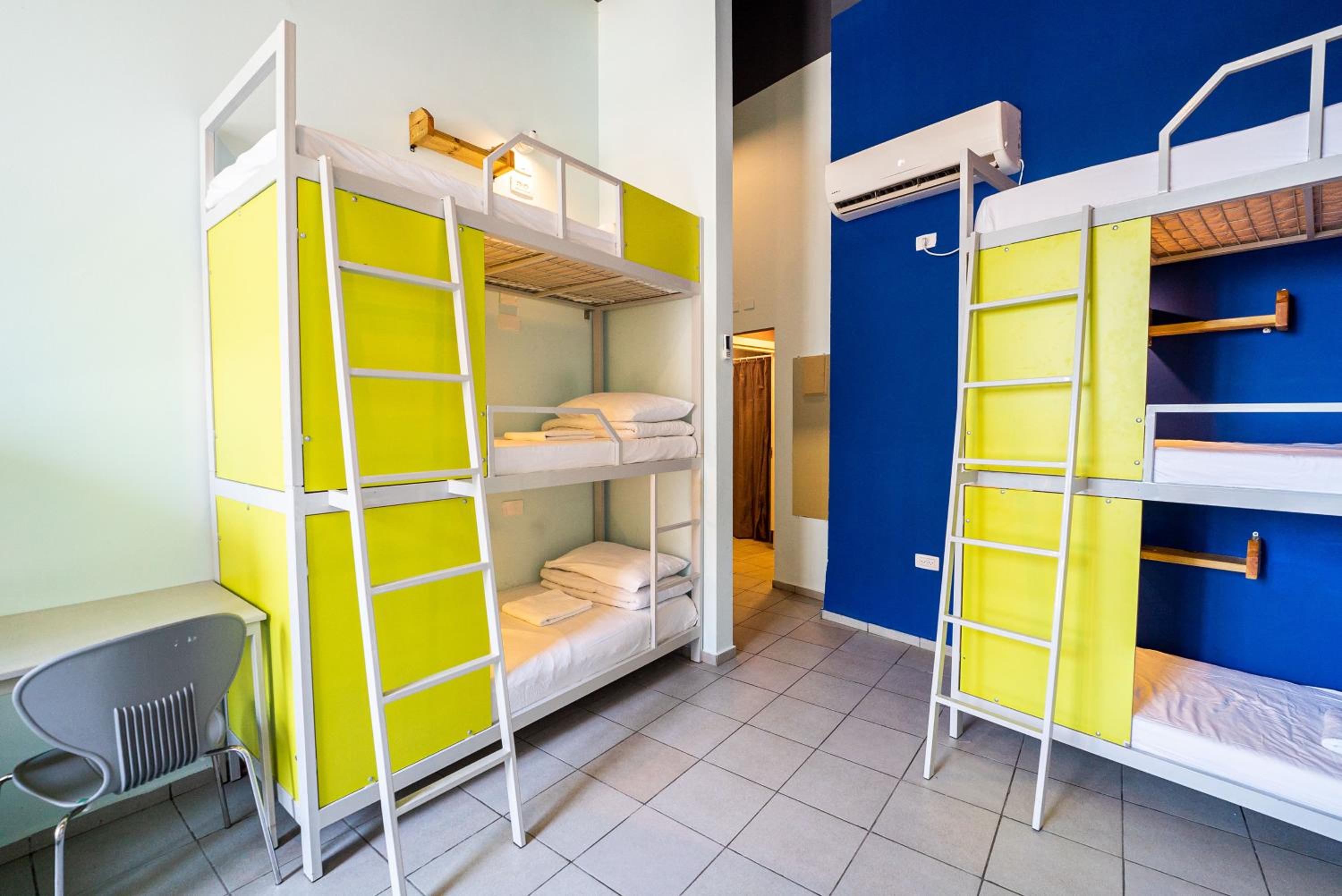 Bed in 6-Bed Dormitory Room