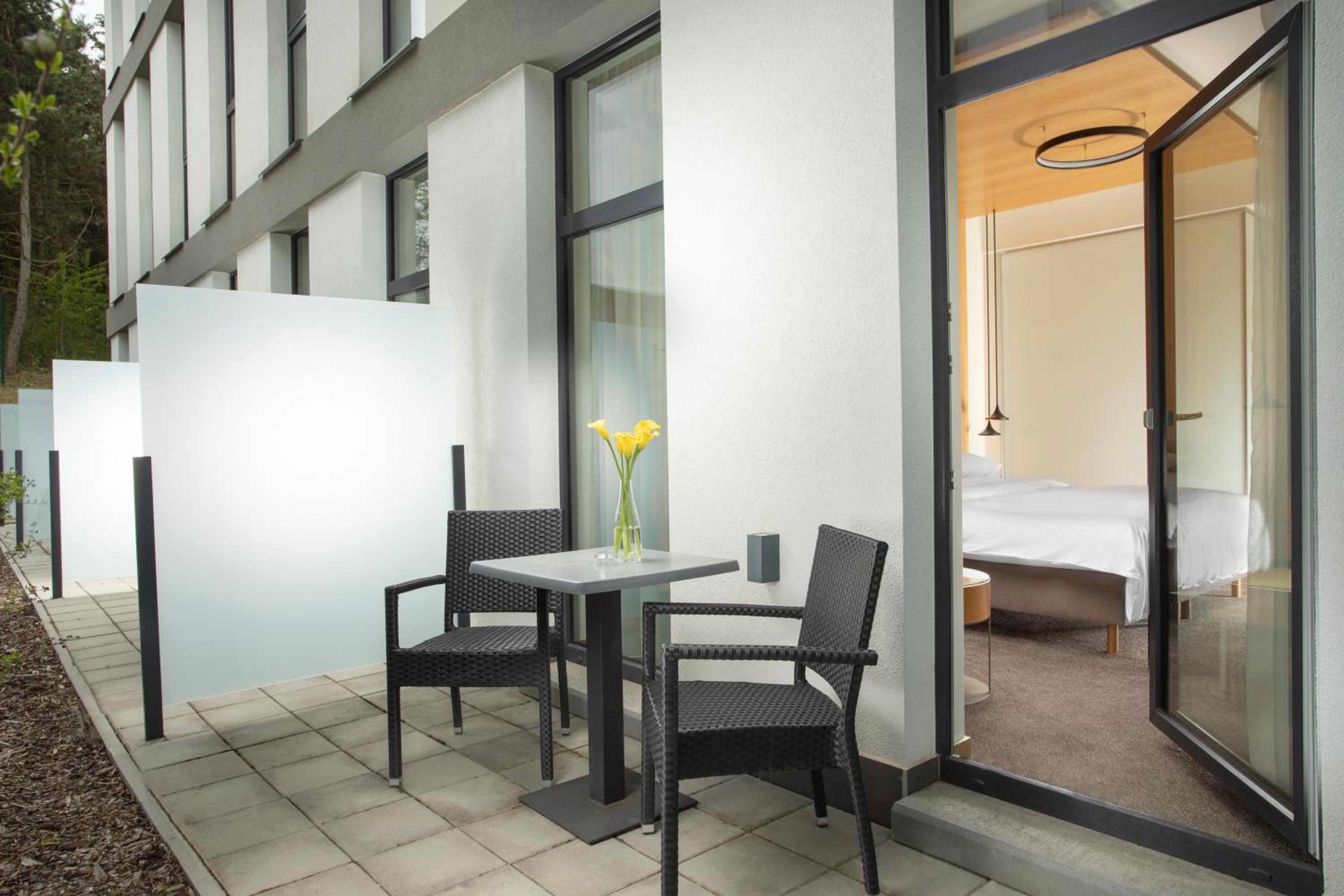 Deluxe Double or Twin Room with Garden