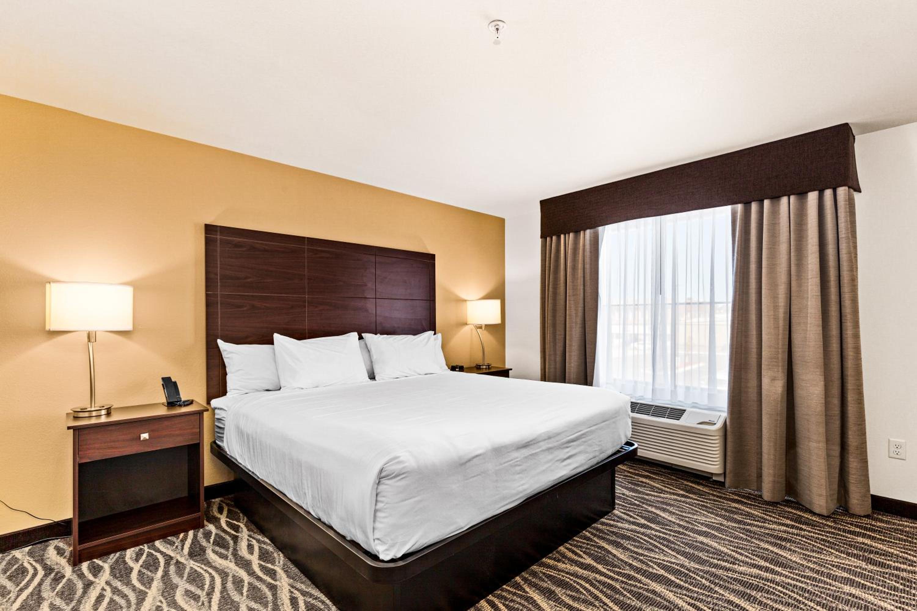 Suite - Photo 7