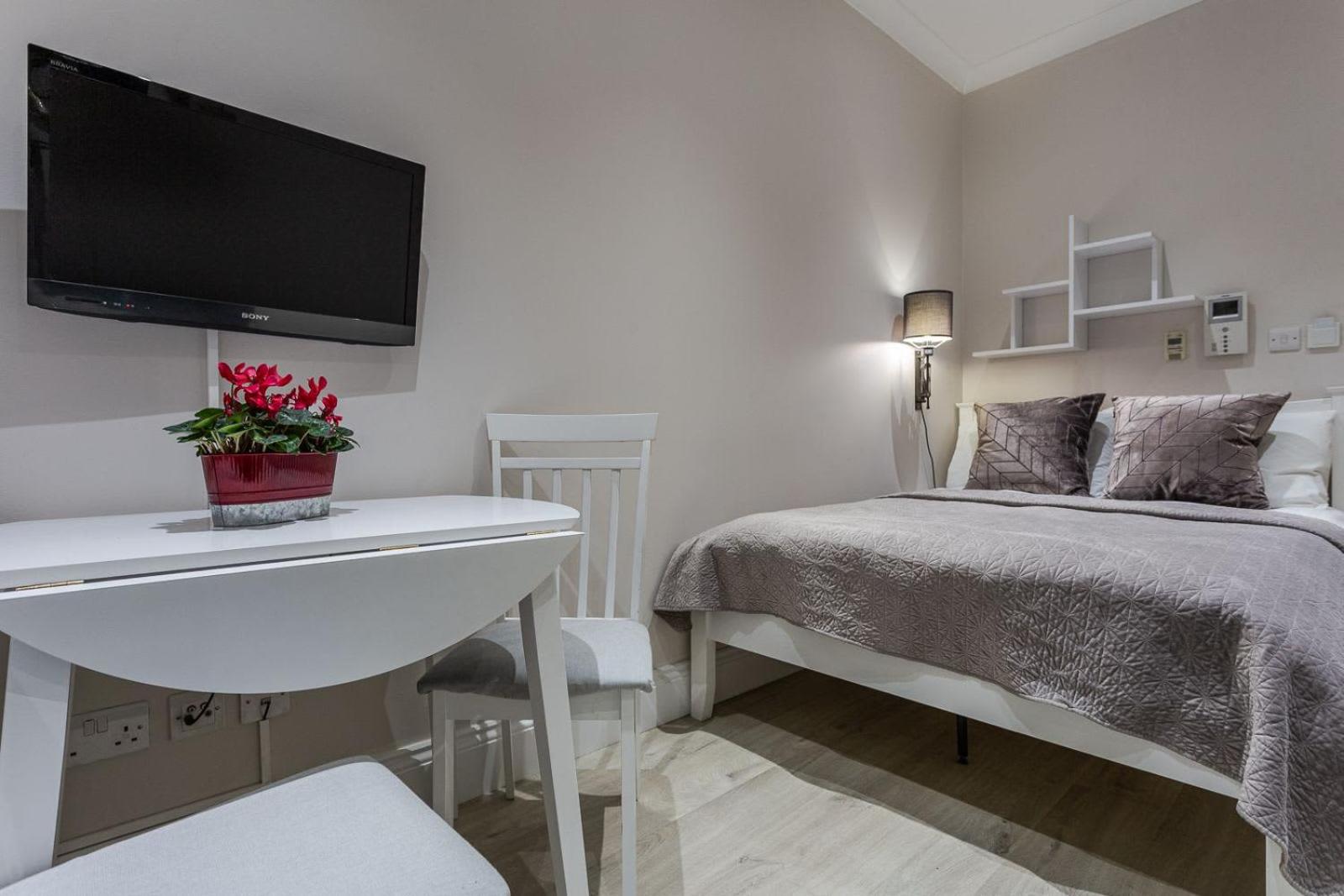 Deluxe Studio Suite photo 3