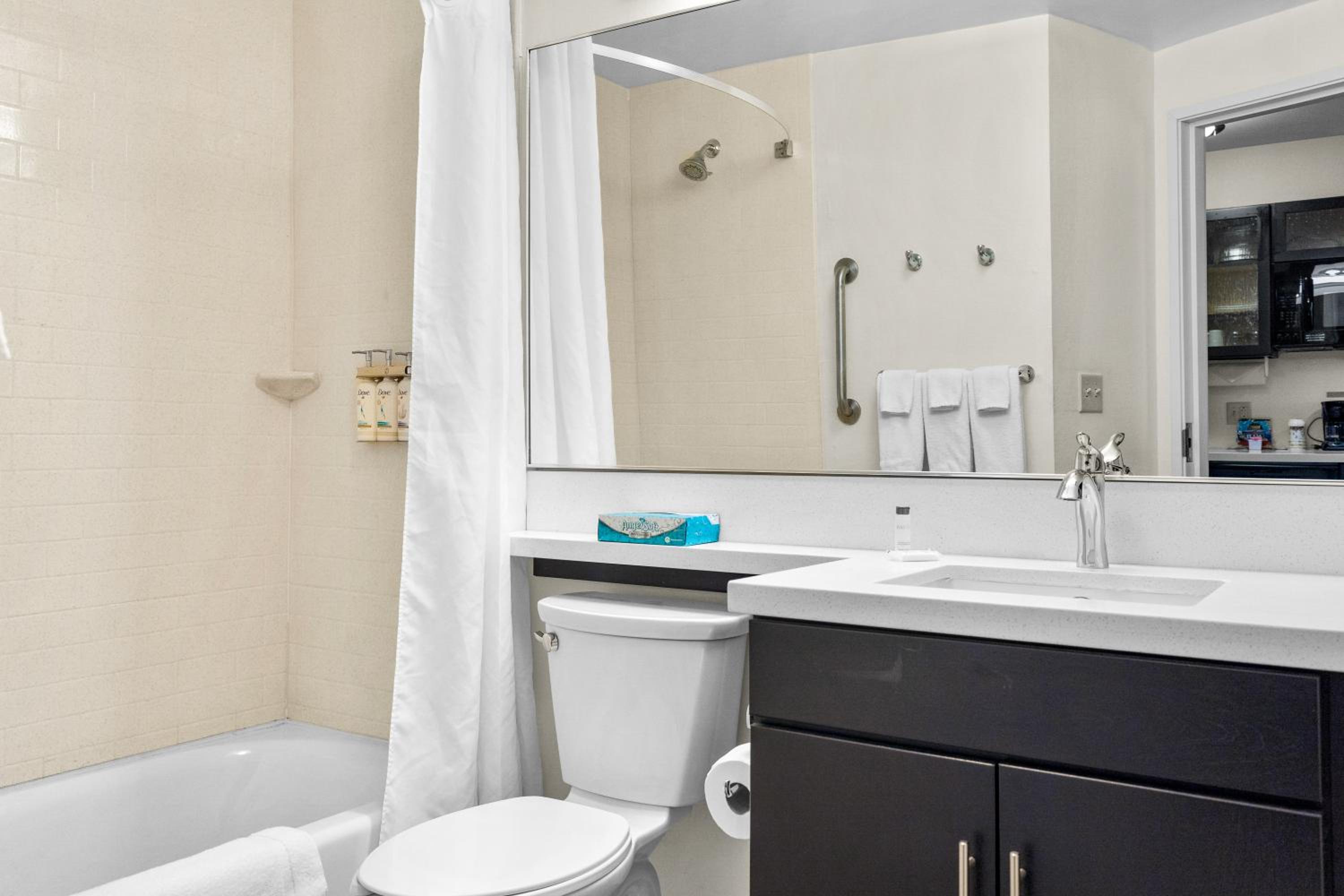 King Studio Suite photo 3
