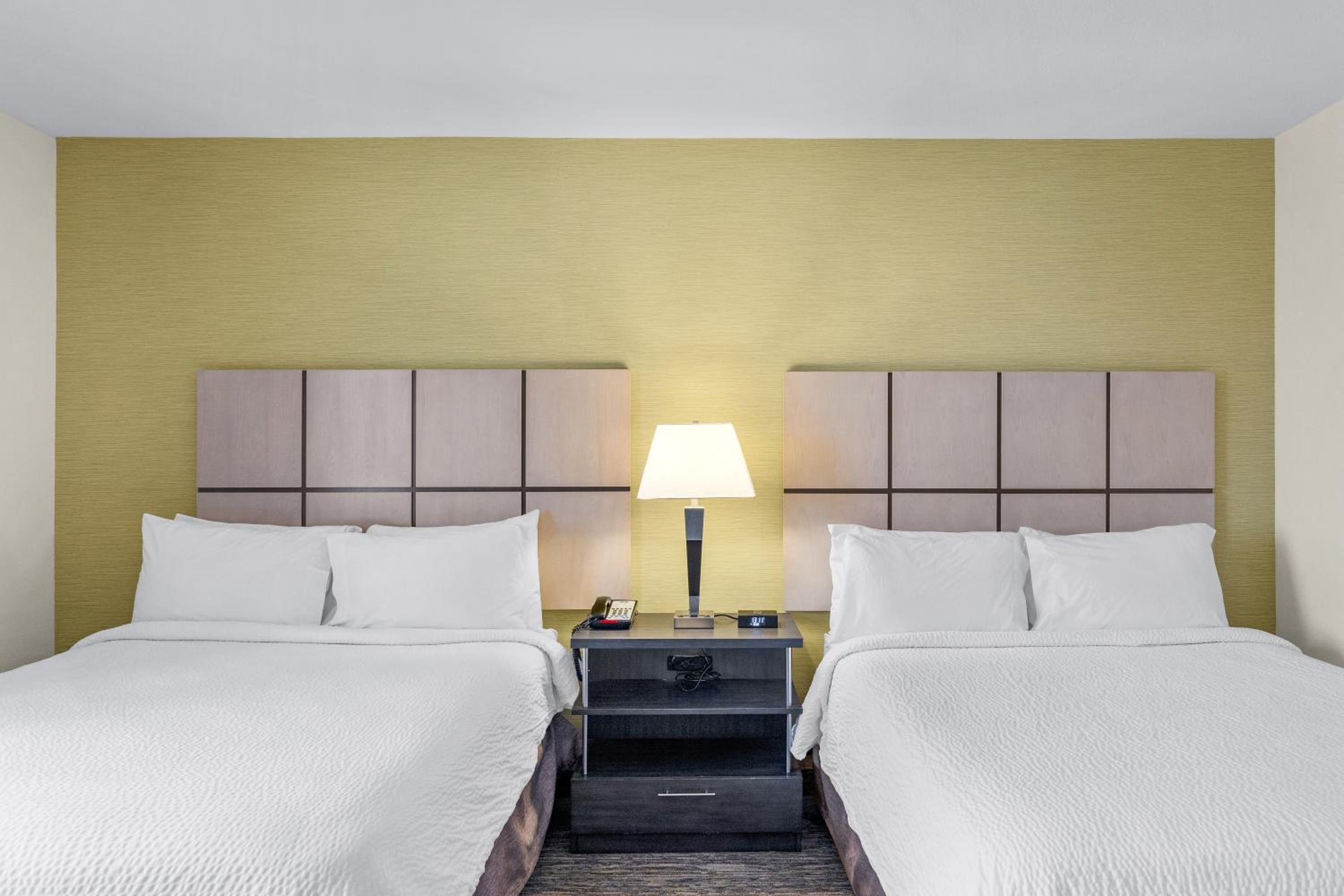 Studio Suite with Two Queen Beds photo 1
