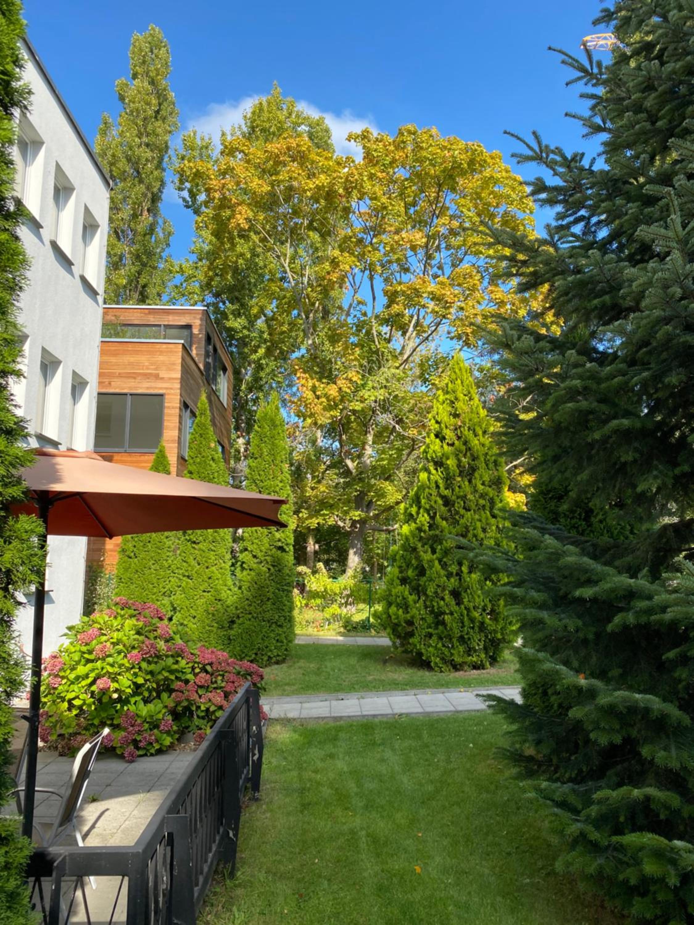 Apartment with Terrace photo 3