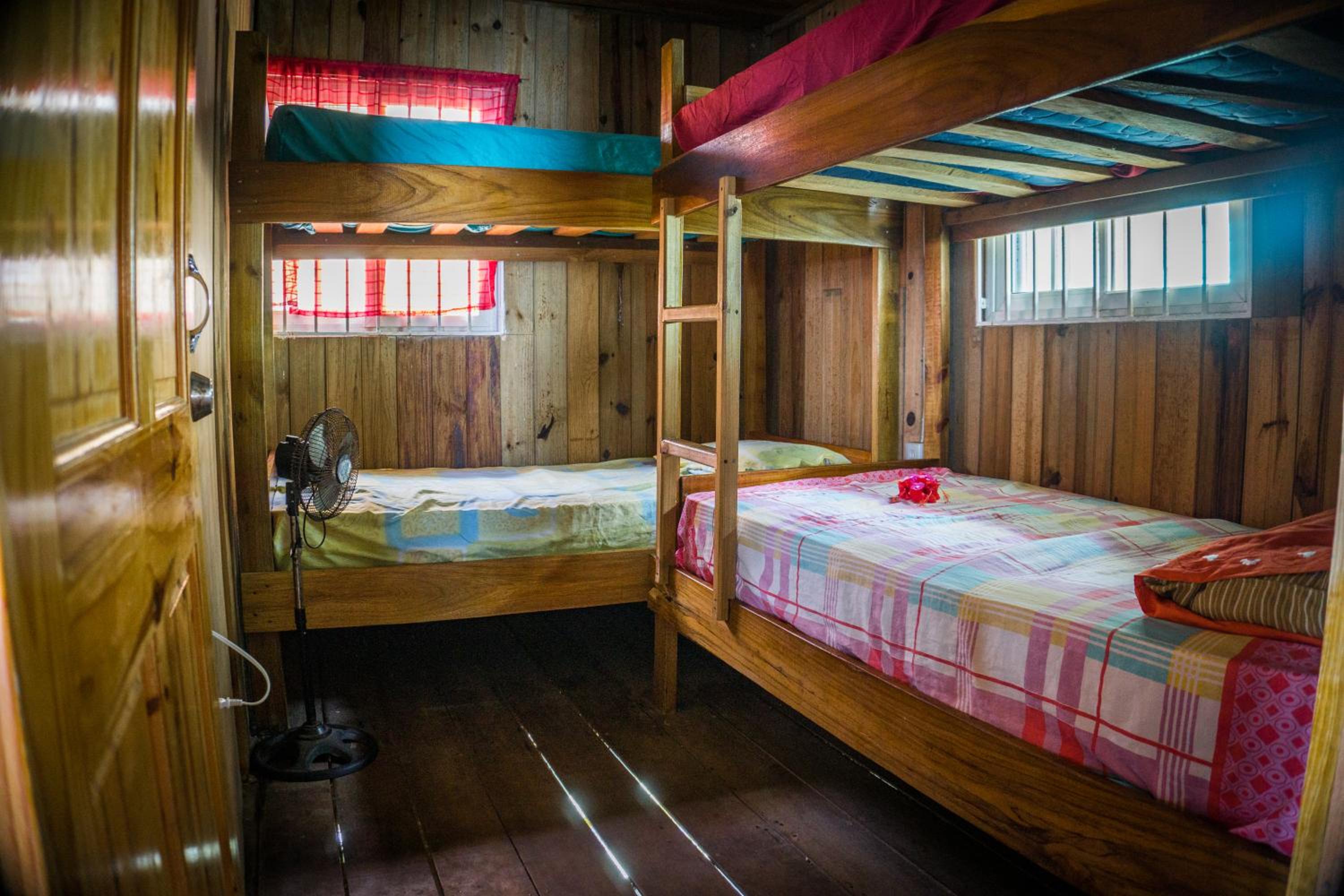 Bed in 4-Bed Mixed Dormitory Room photo 1