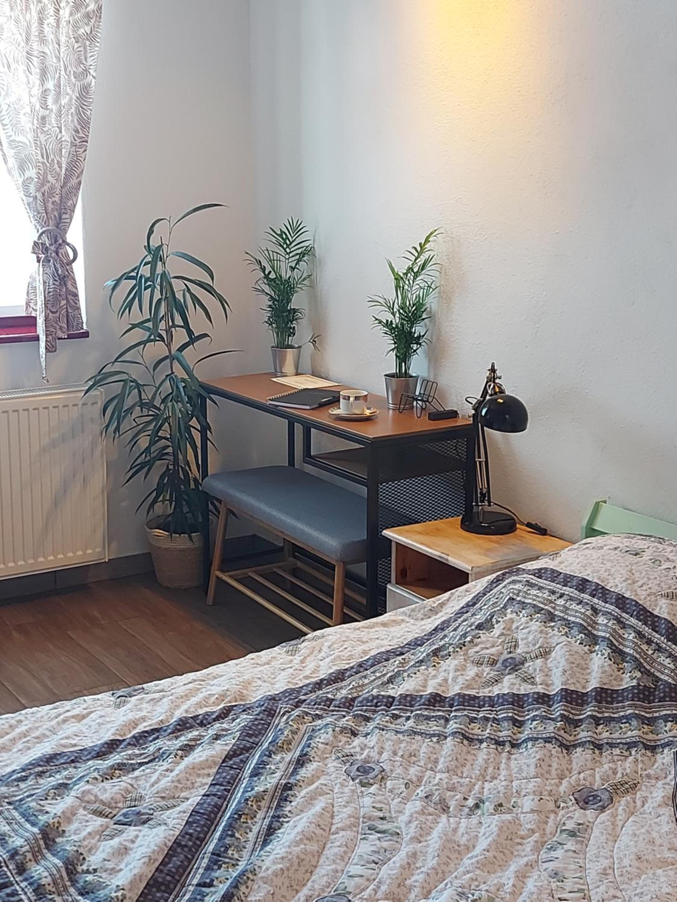 One-Bedroom Apartment photo 3