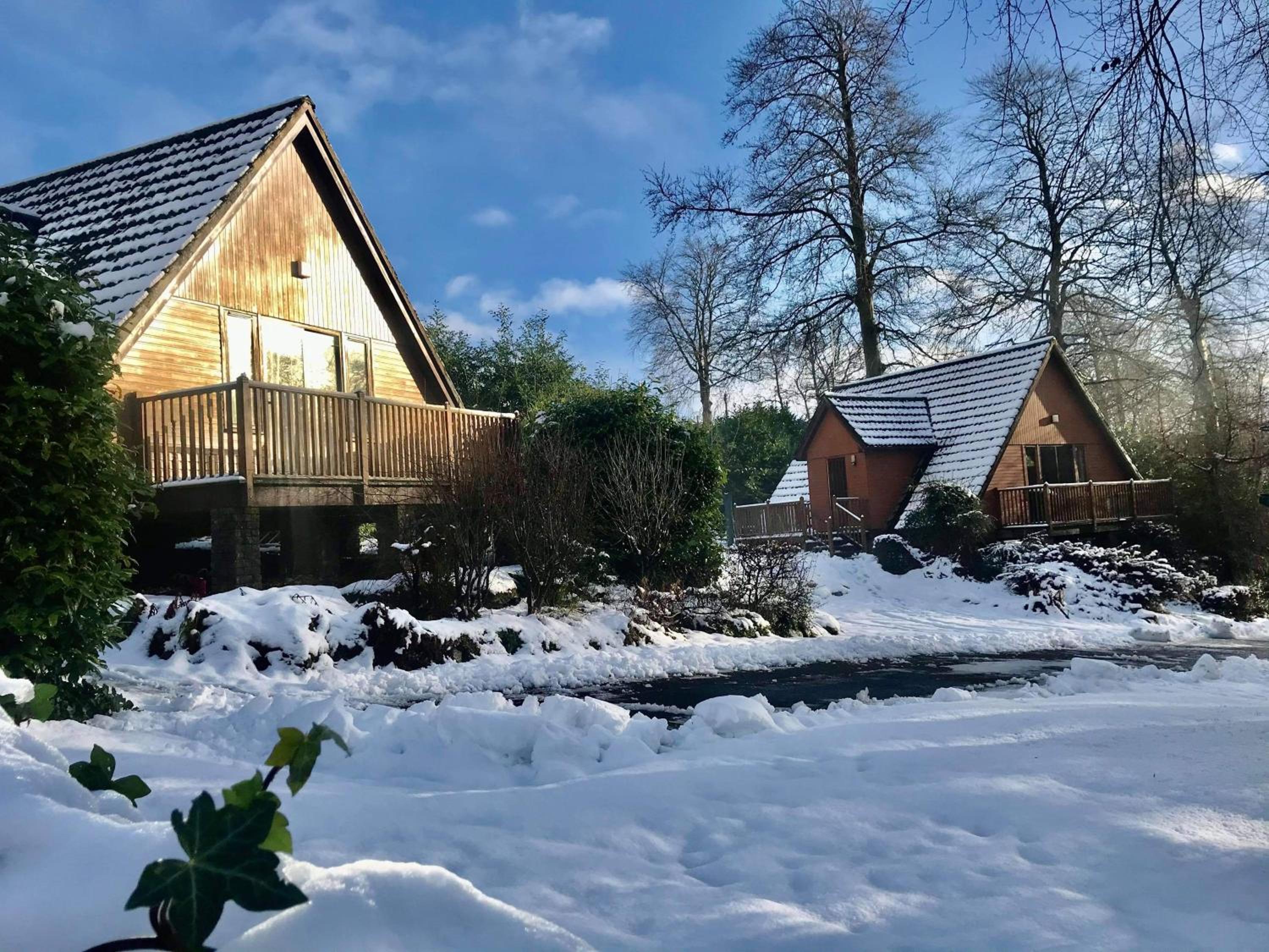 Superior Chalet with Garden View photo 2