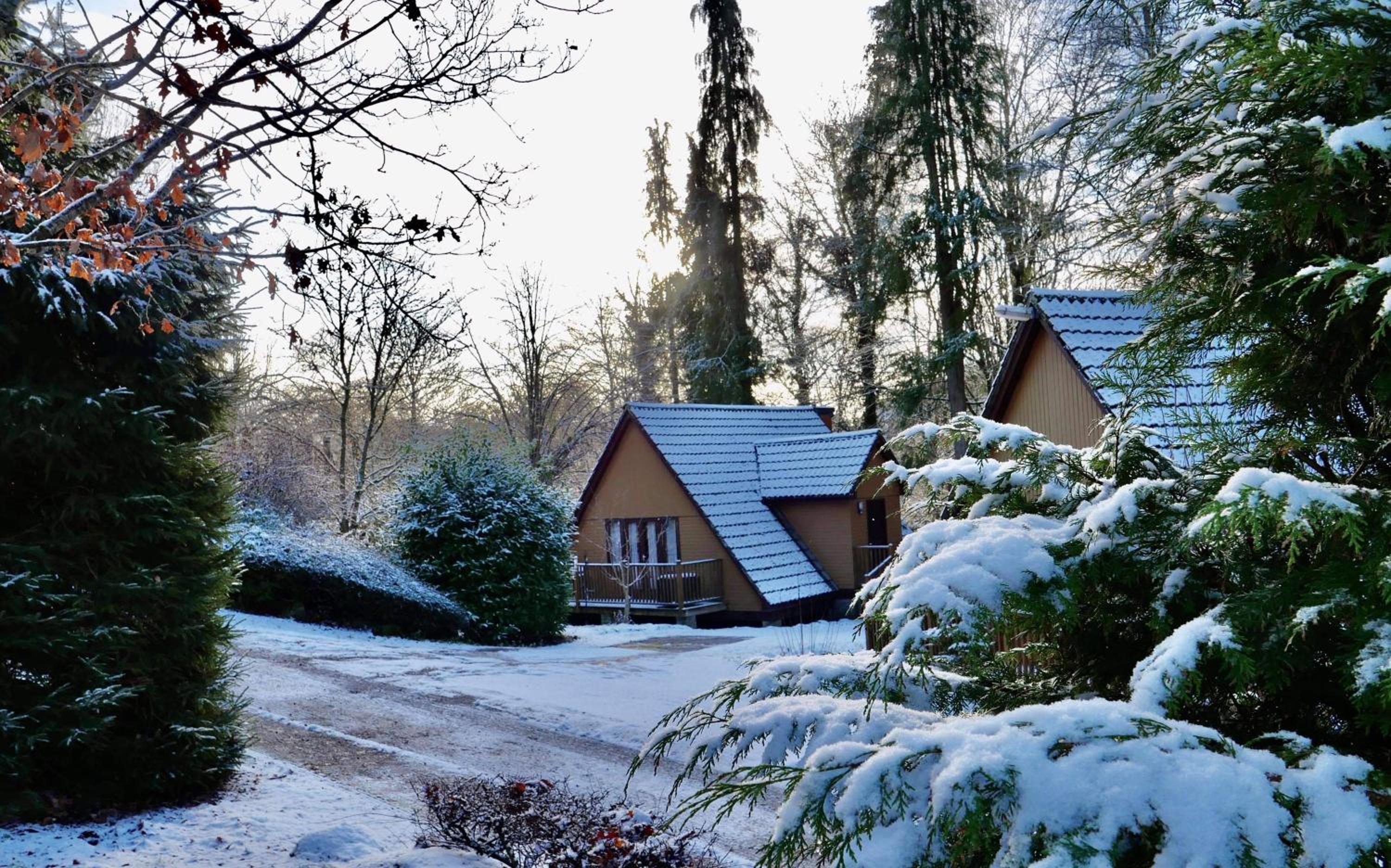 Two-Bedroom Chalet with View photo 2