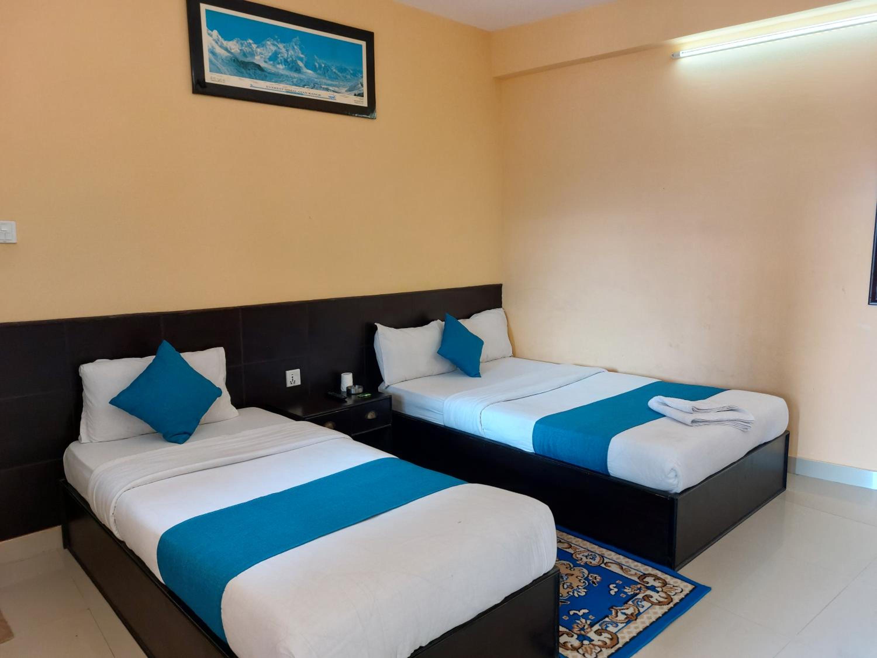 Double or Twin Room photo 3