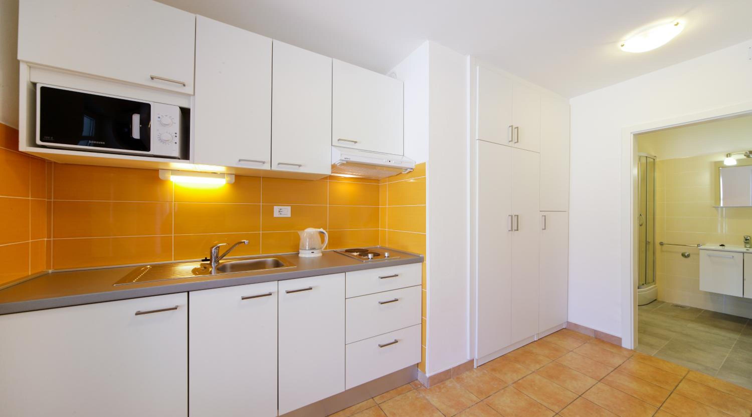 One-Bedroom Apartment photo 2