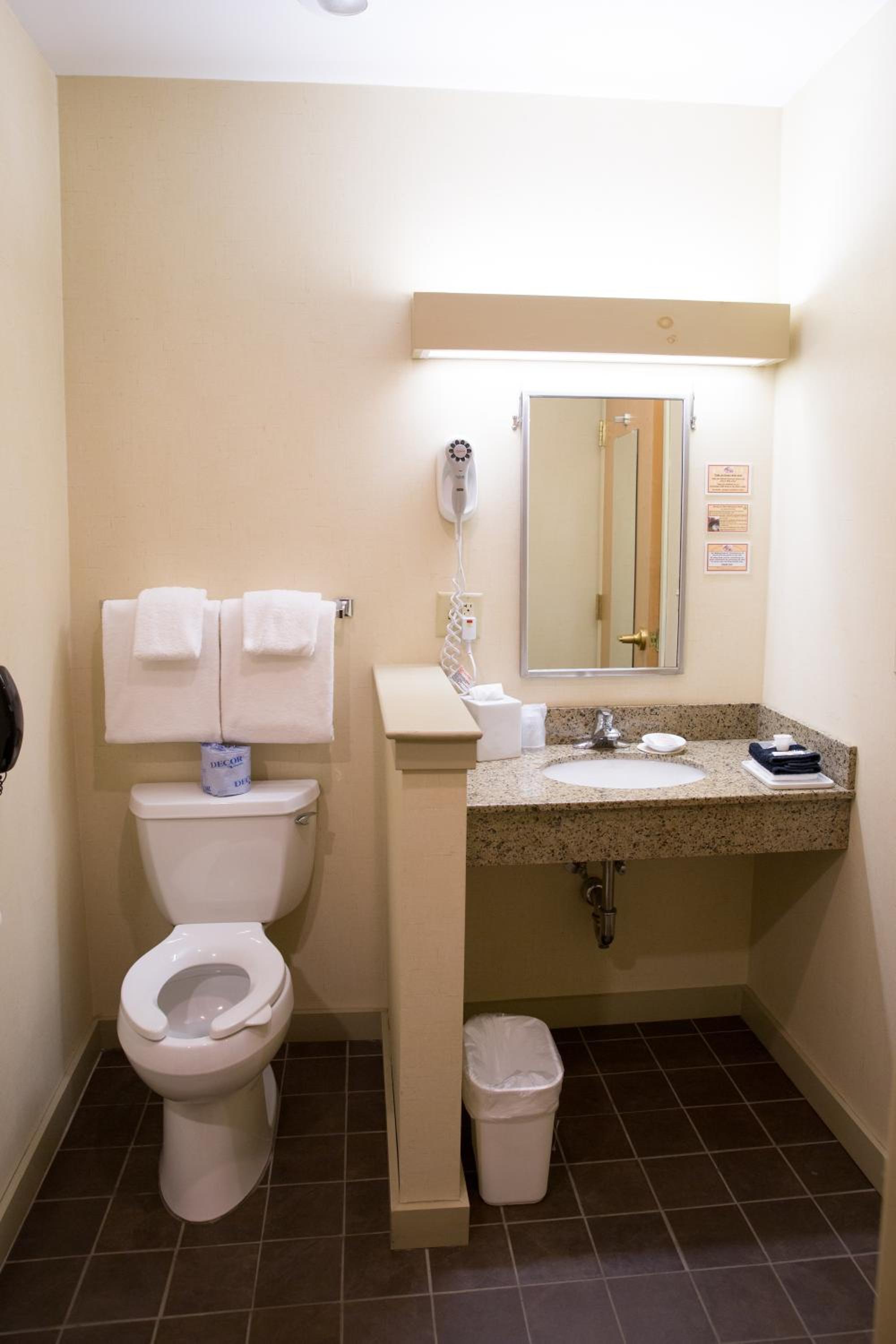 Deluxe Suite photo 2
