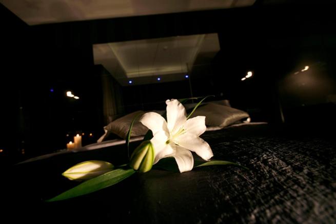 Standard King Room - Photo 12