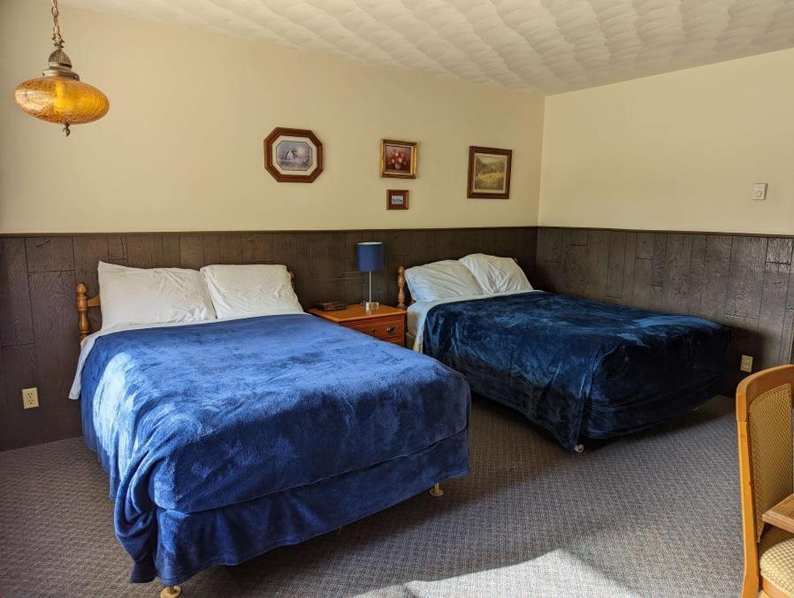 Deluxe Double Room (2 Adults + 1 Child) photo 2