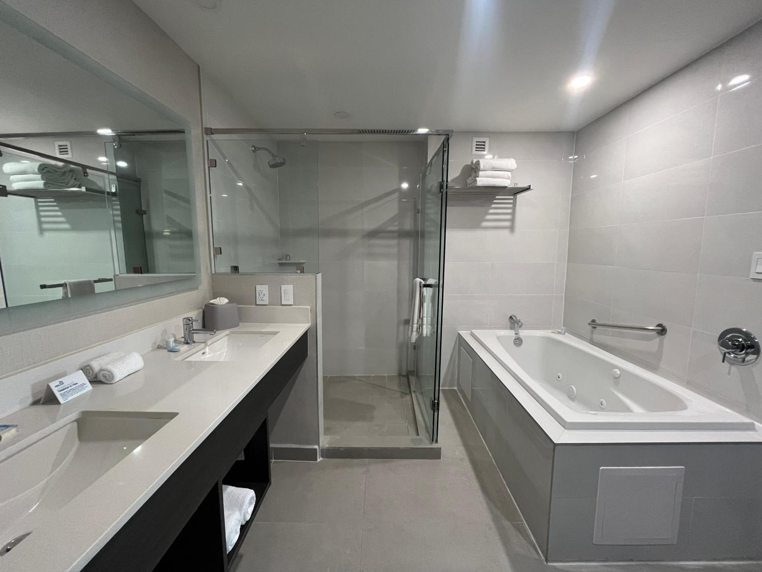 One-Bedroom King Suite - Photo 4