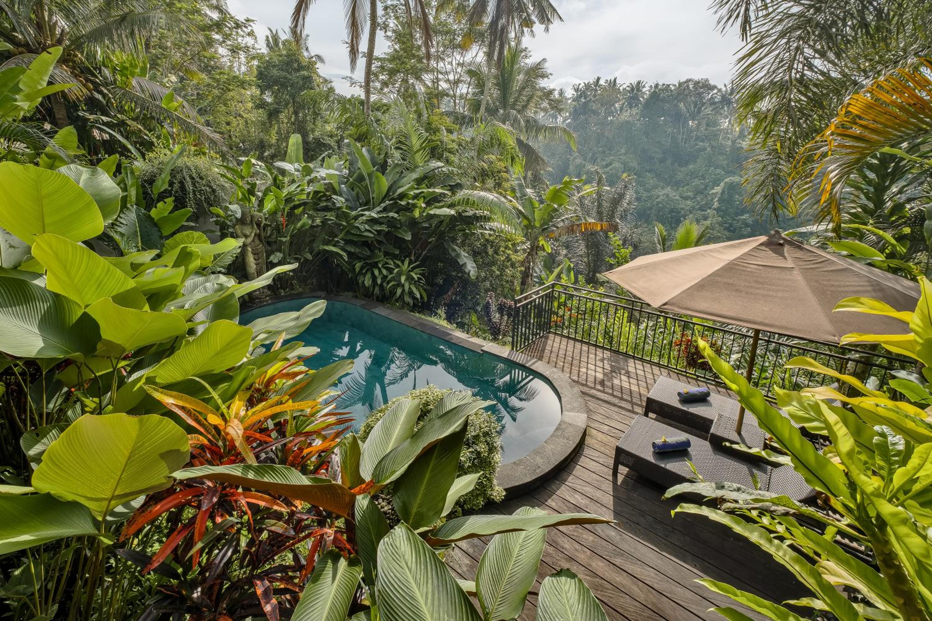 One-Bedroom Pool Villa with Valley View - Photo 2