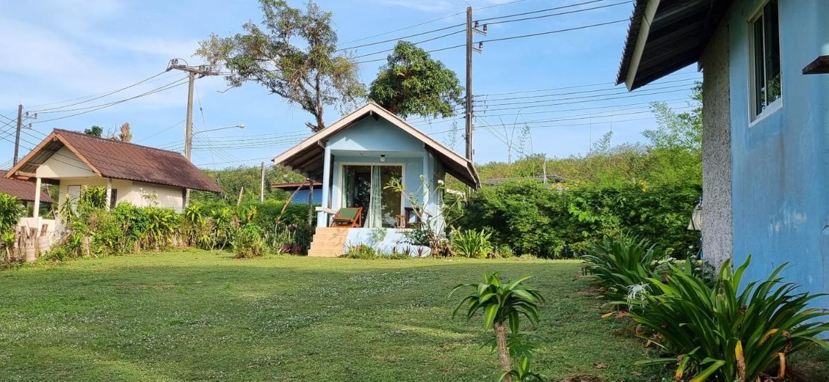 Bungalow with Sea View photo 3