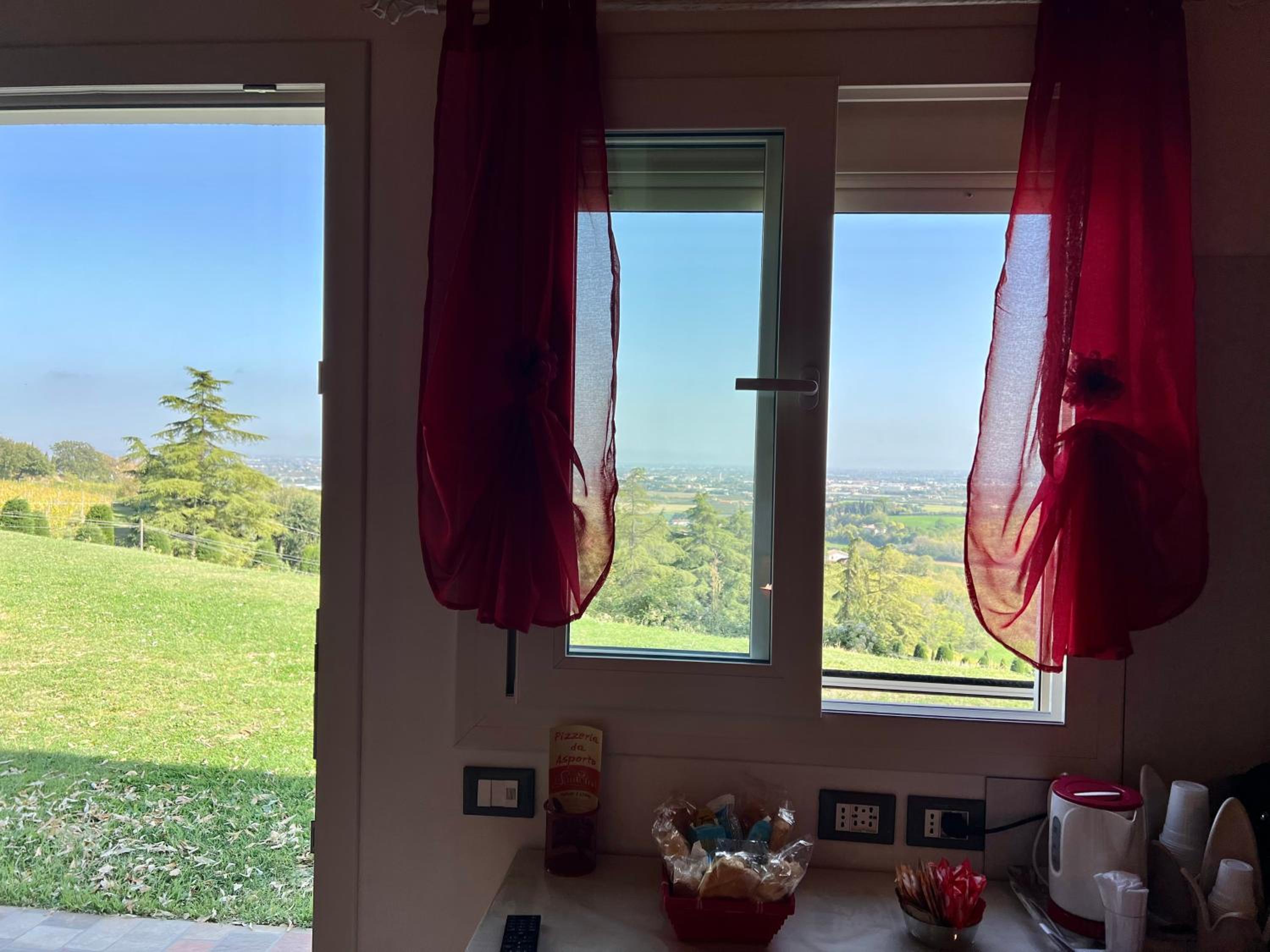 Deluxe Double or Twin Room with Mountain View photo 3