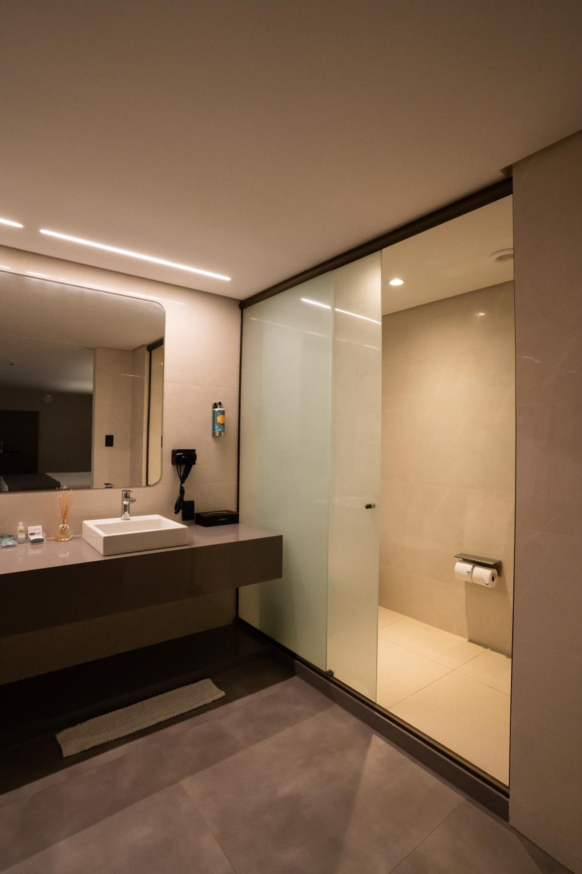 Premium Suite - Photo 9