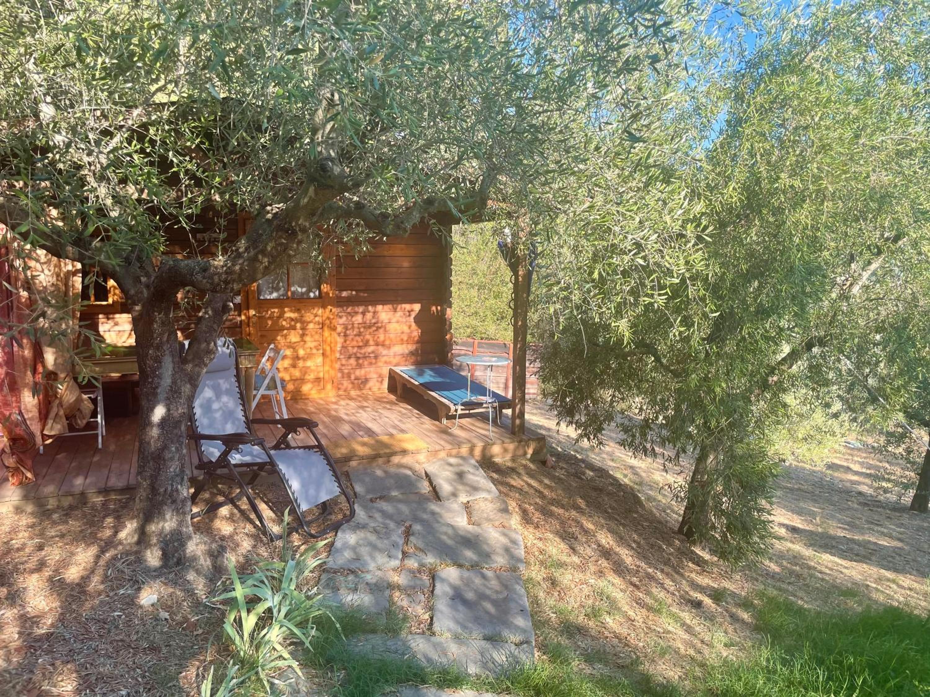 Bungalow with Garden View photo 1
