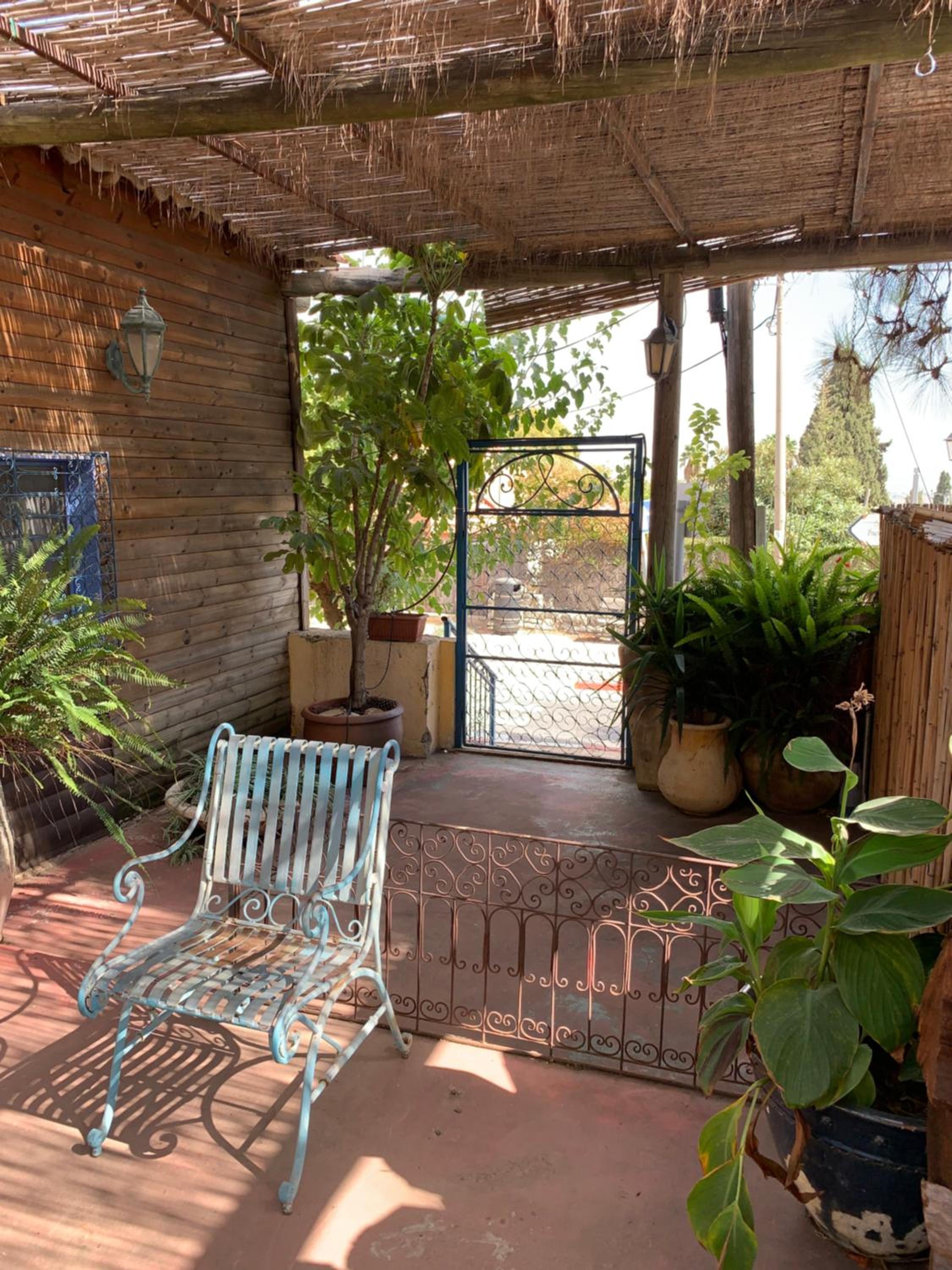 The Berry Tree - Photo 21