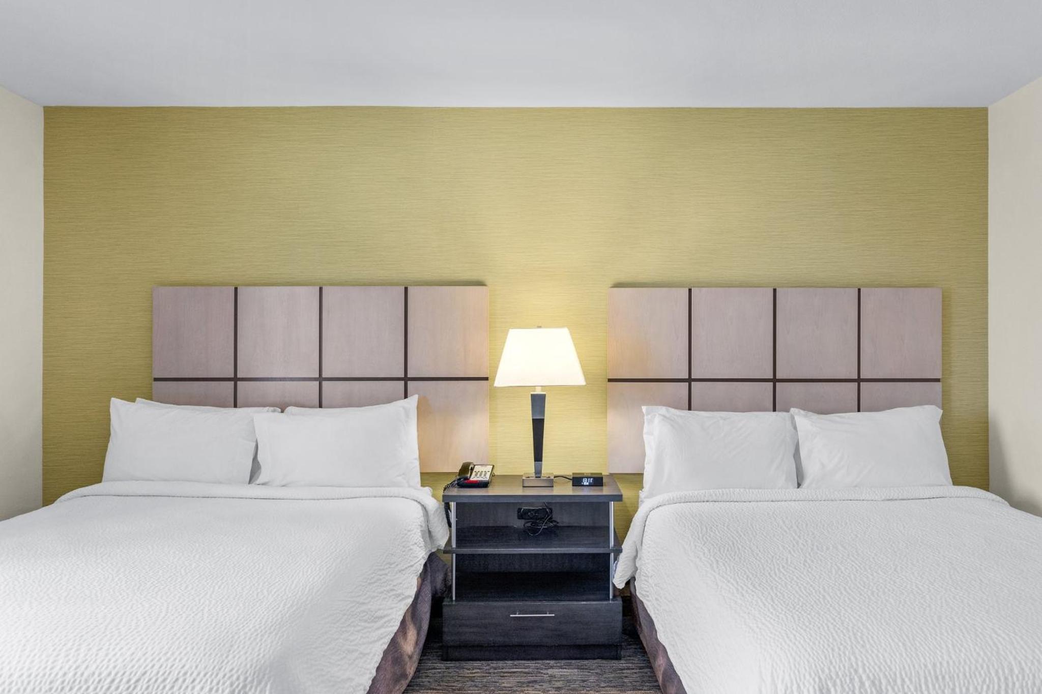 Studio Suite with Two Queen Beds photo 2