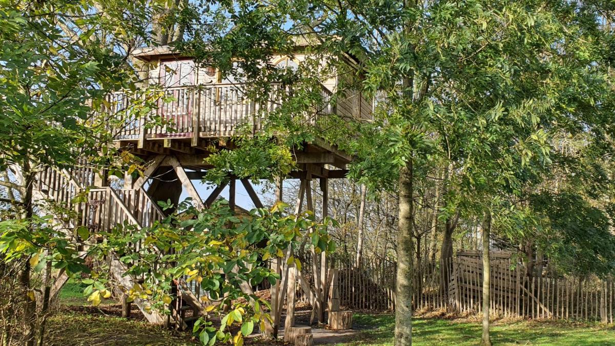 Double Room with Garden View photo 2