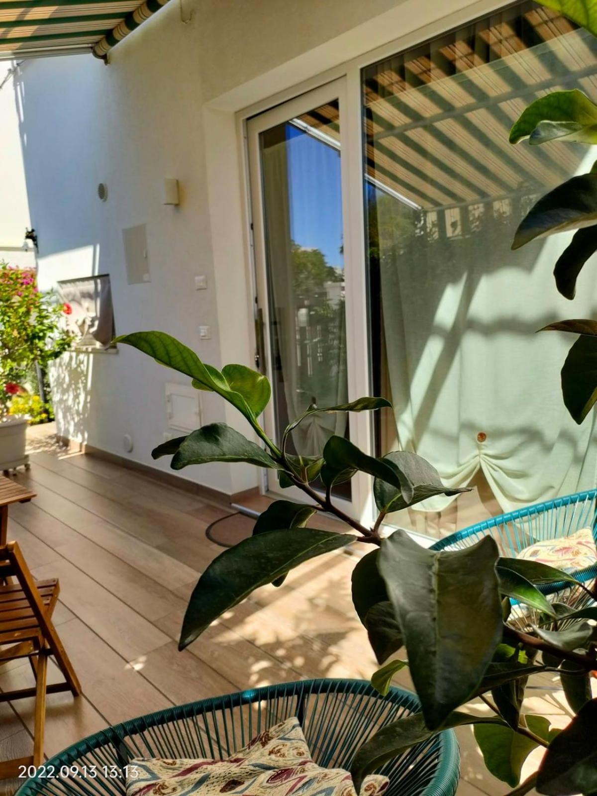 Deluxe Suite - Photo 21